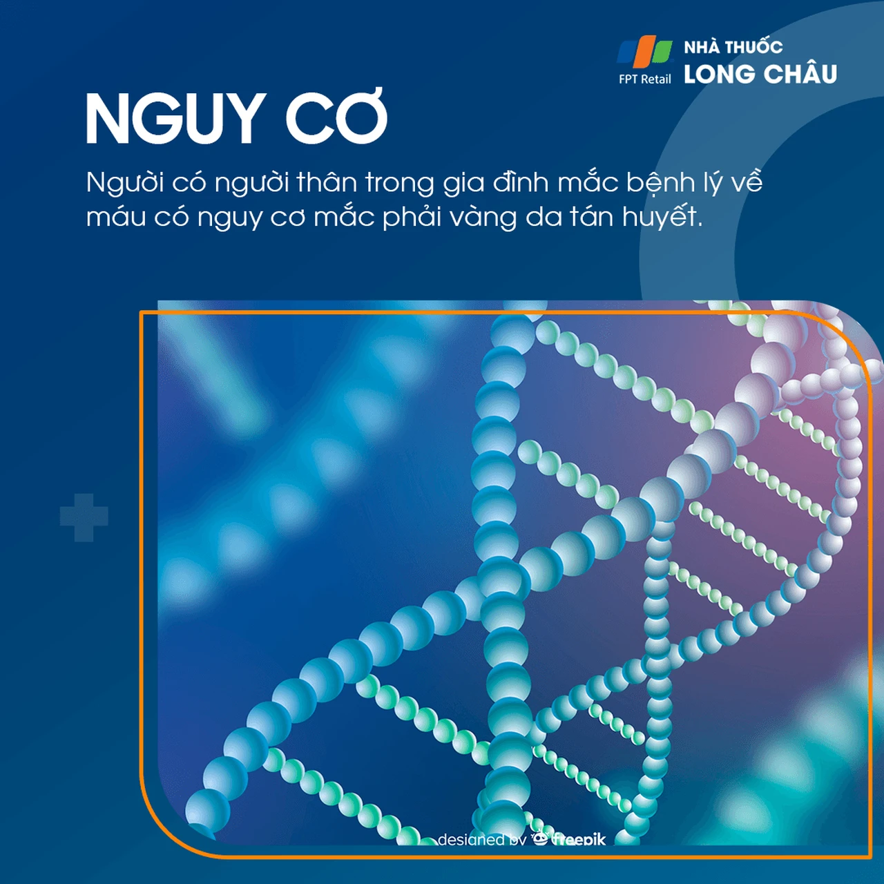 Vàng da tán huyết 4