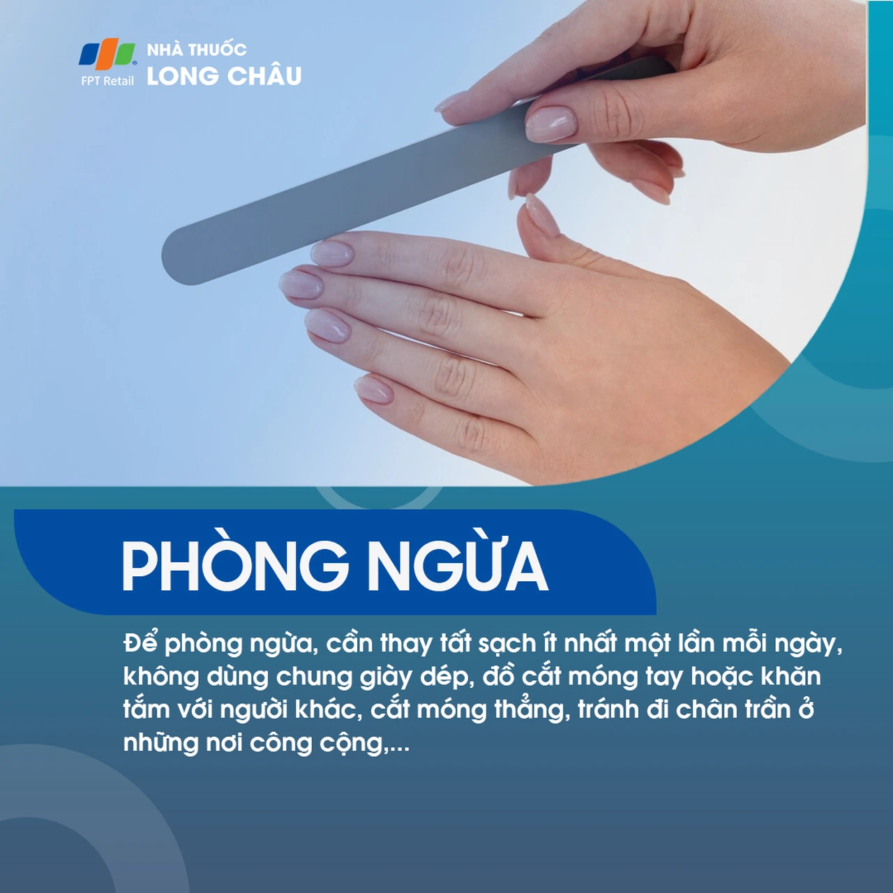 Loạn dưỡng món 7 