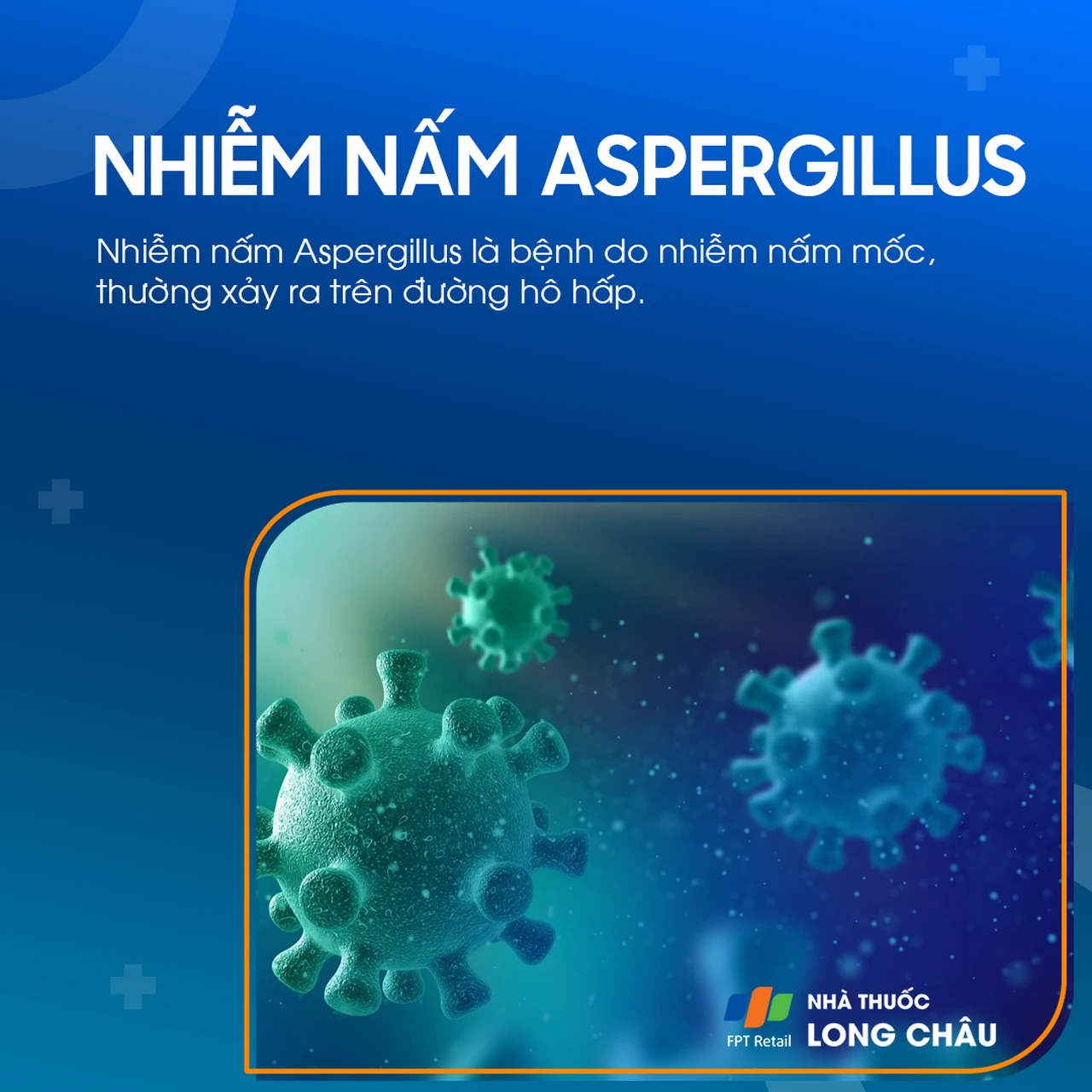 Nhiễm nấm Aspergillus 1
