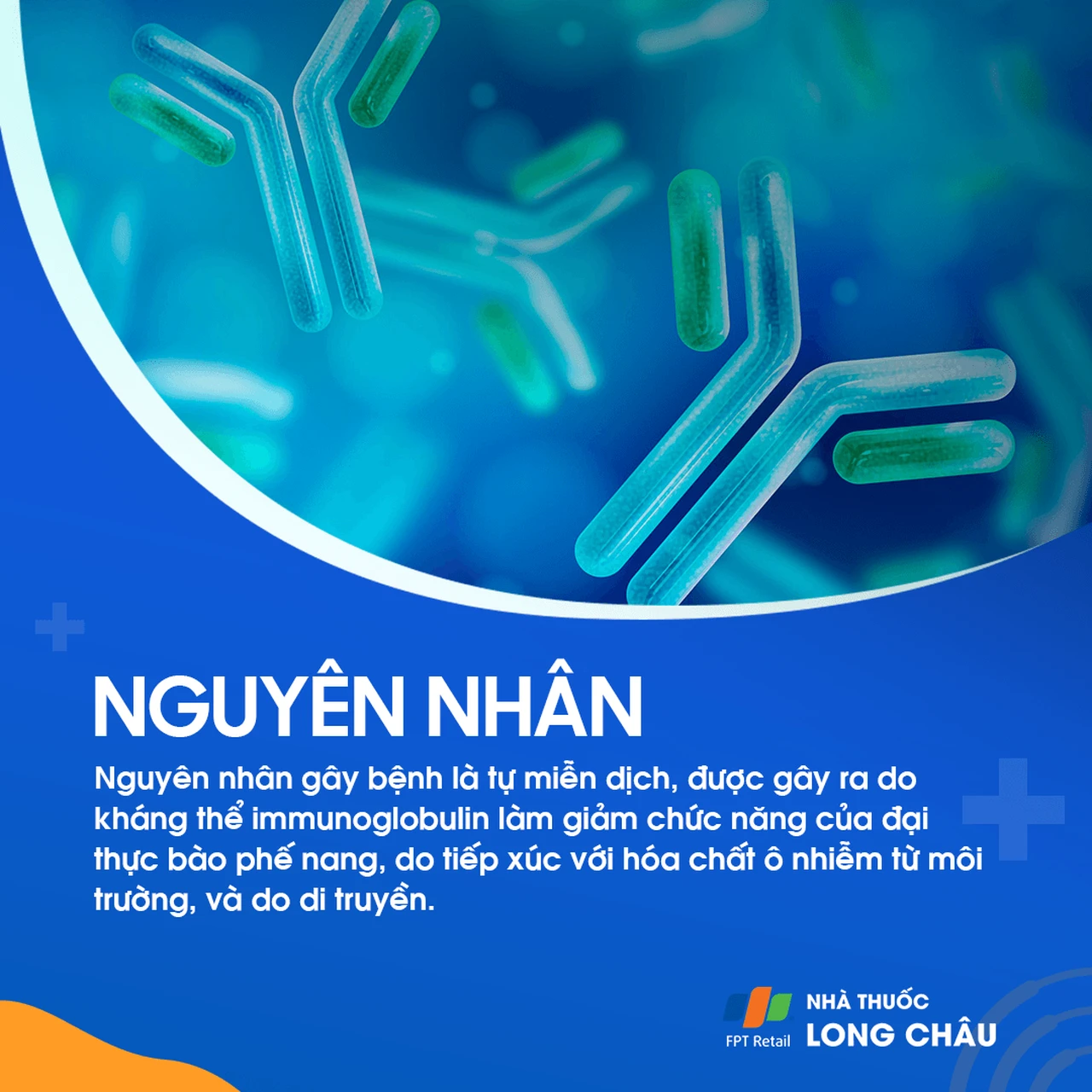 Bệnh tích protein phế nang 3