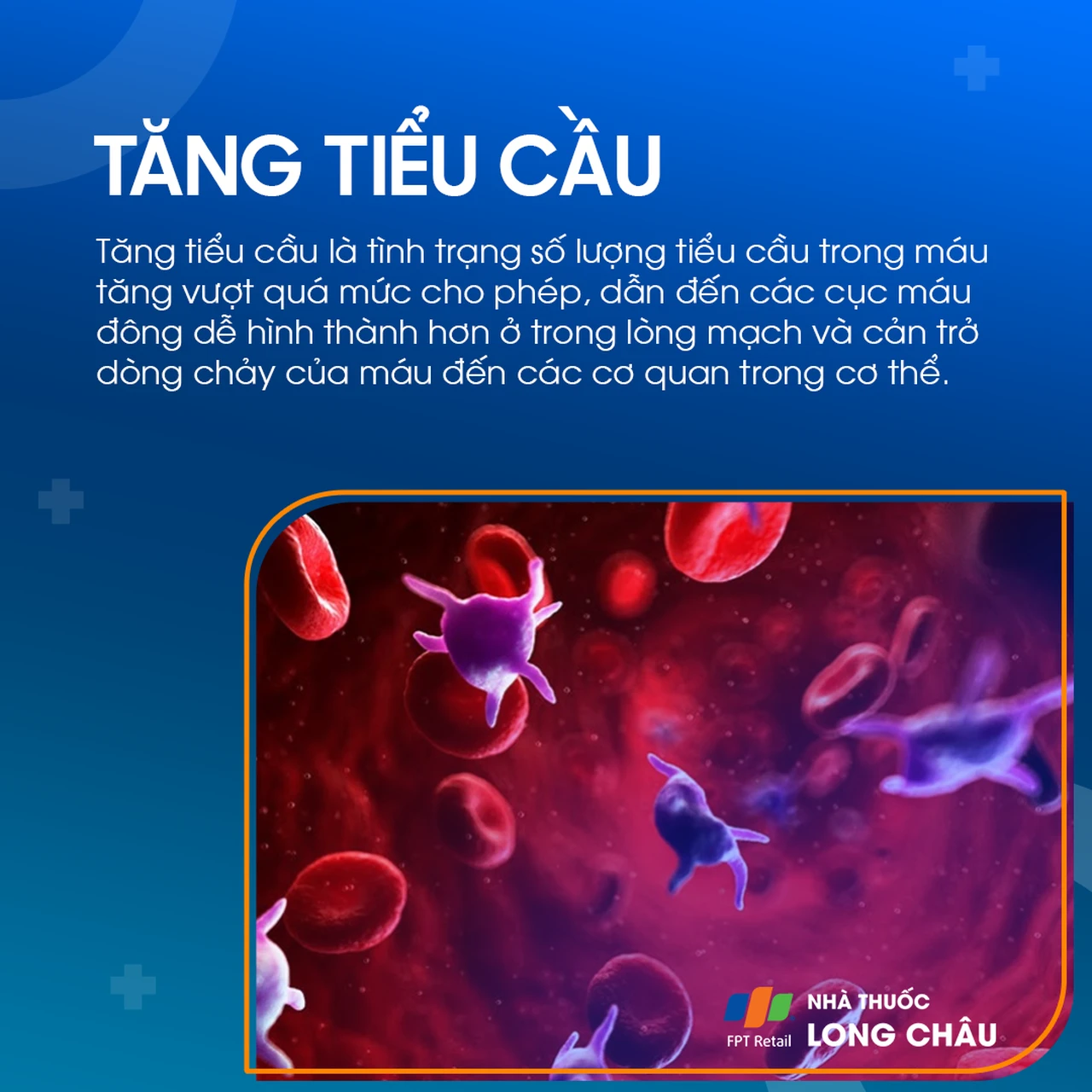 tăng tiểu cầu 1