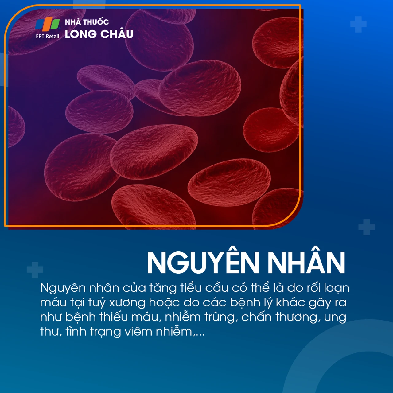 Tăng tiểu cầu 3