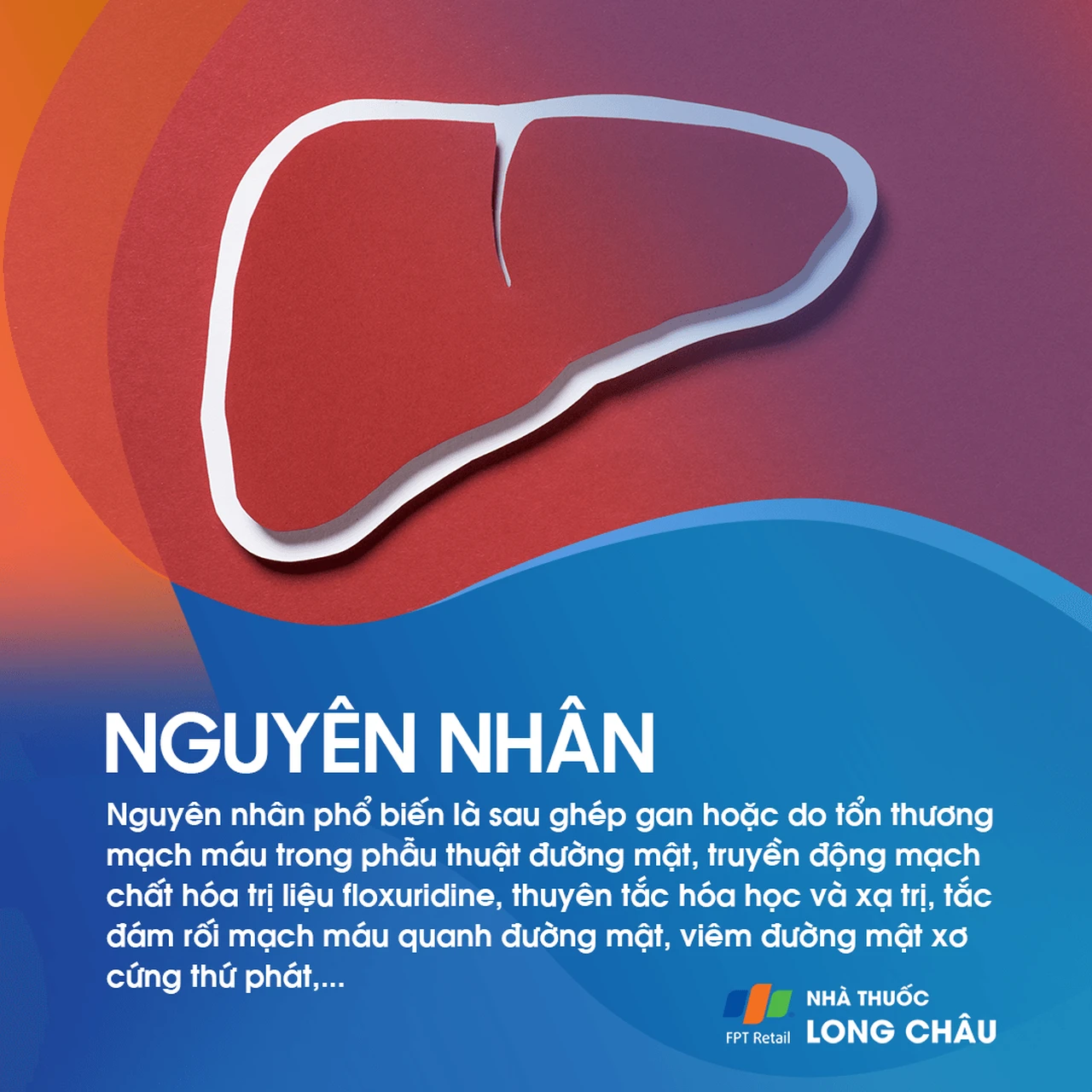 Thiếu máu cục bộ đường mật 3