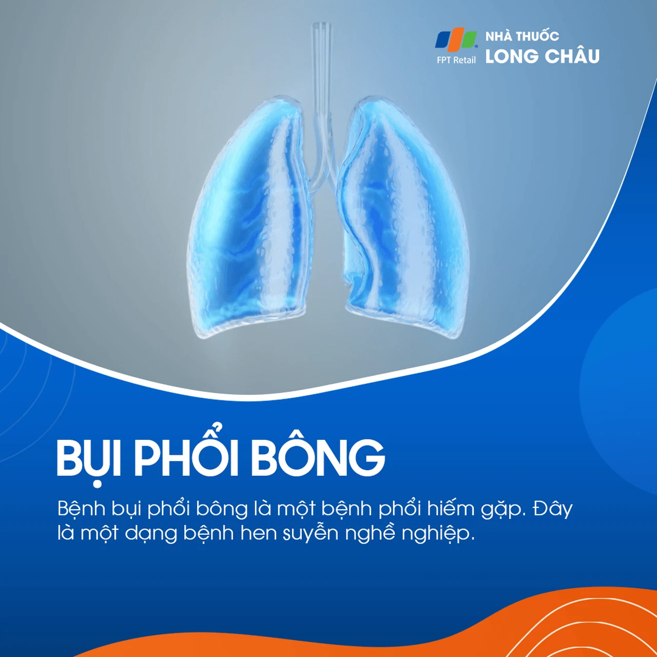 Bụi phổi bông 1