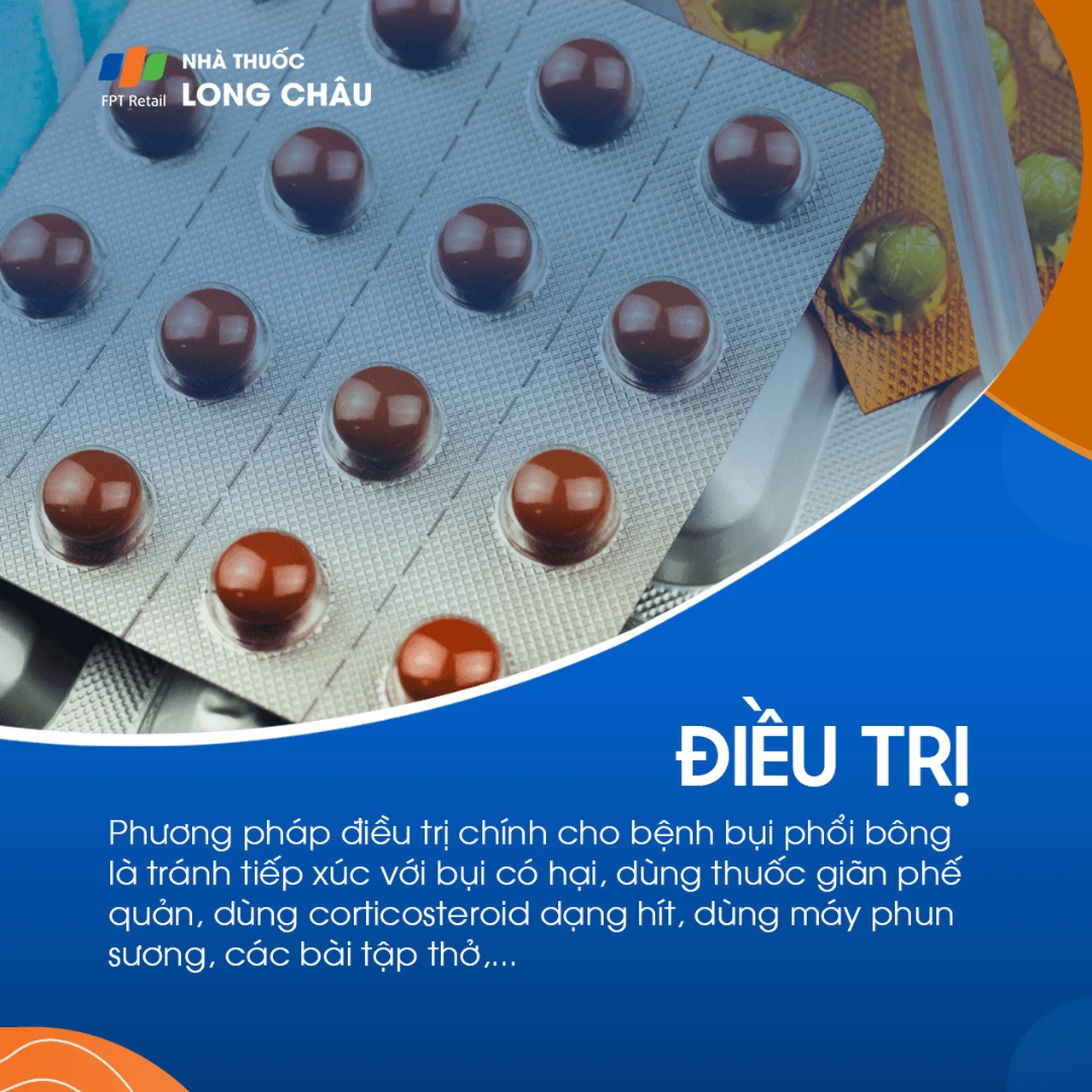 Bụi phổi bông 6