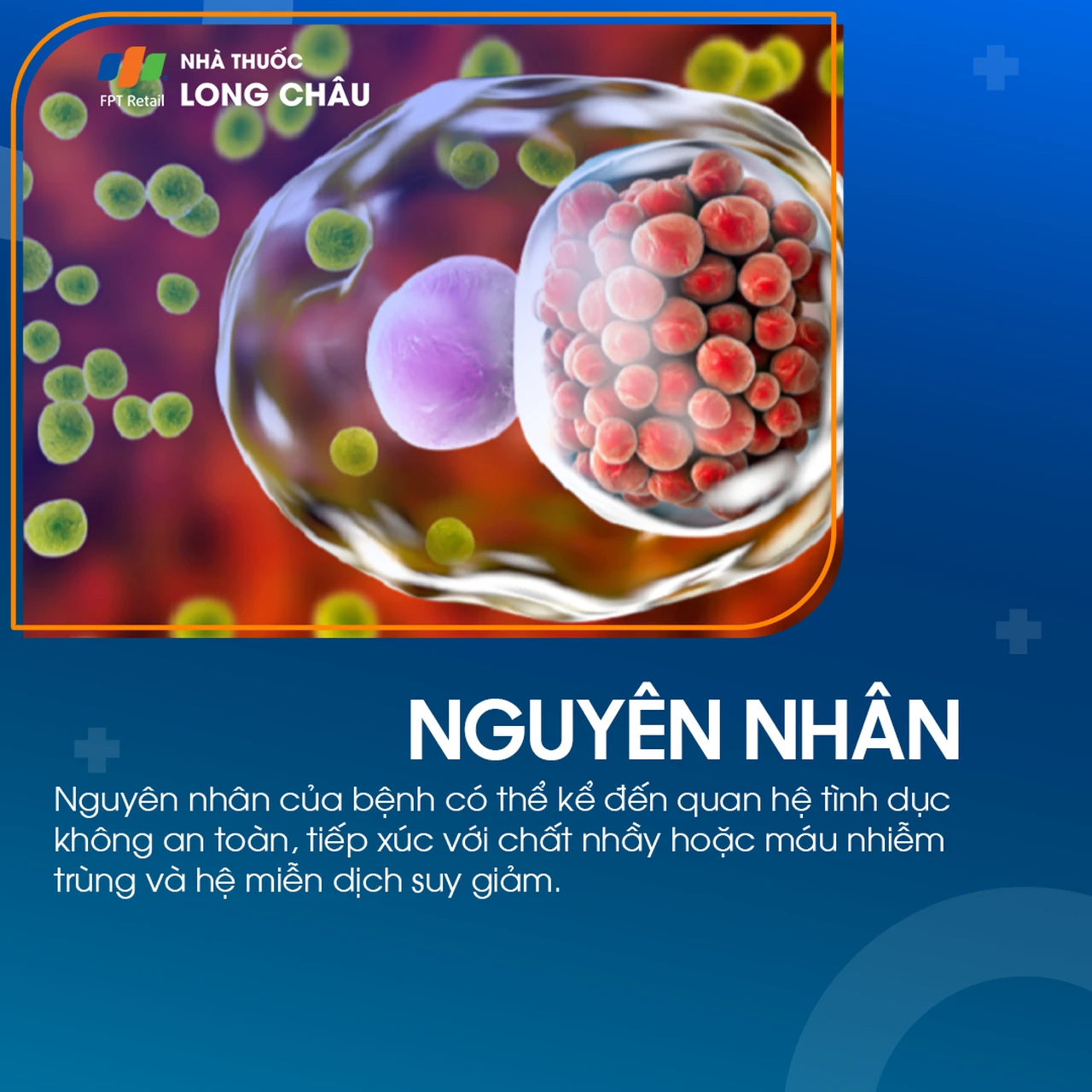 Bệnh hột xoài 4