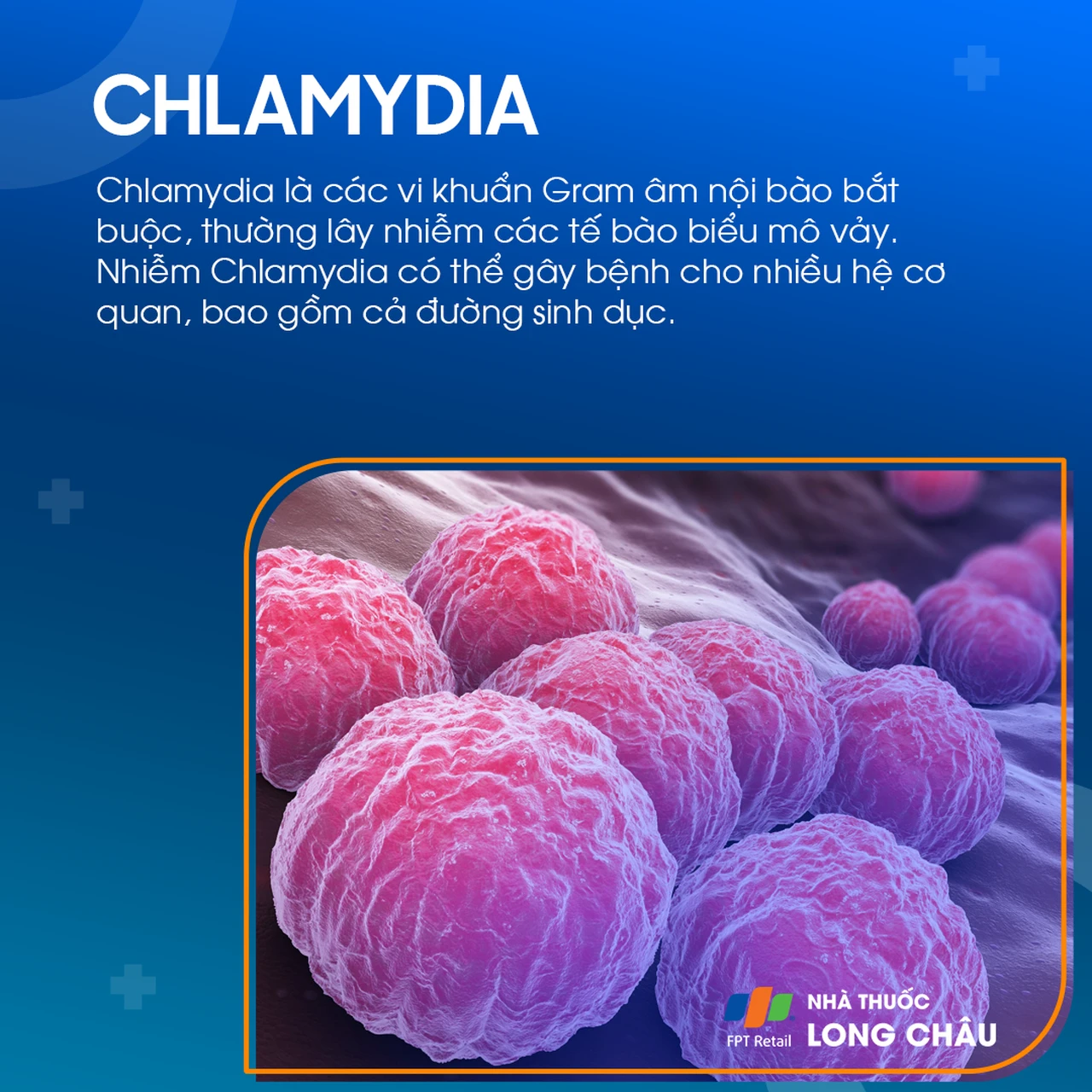 Nhiễm khuẩn chalamydia 1