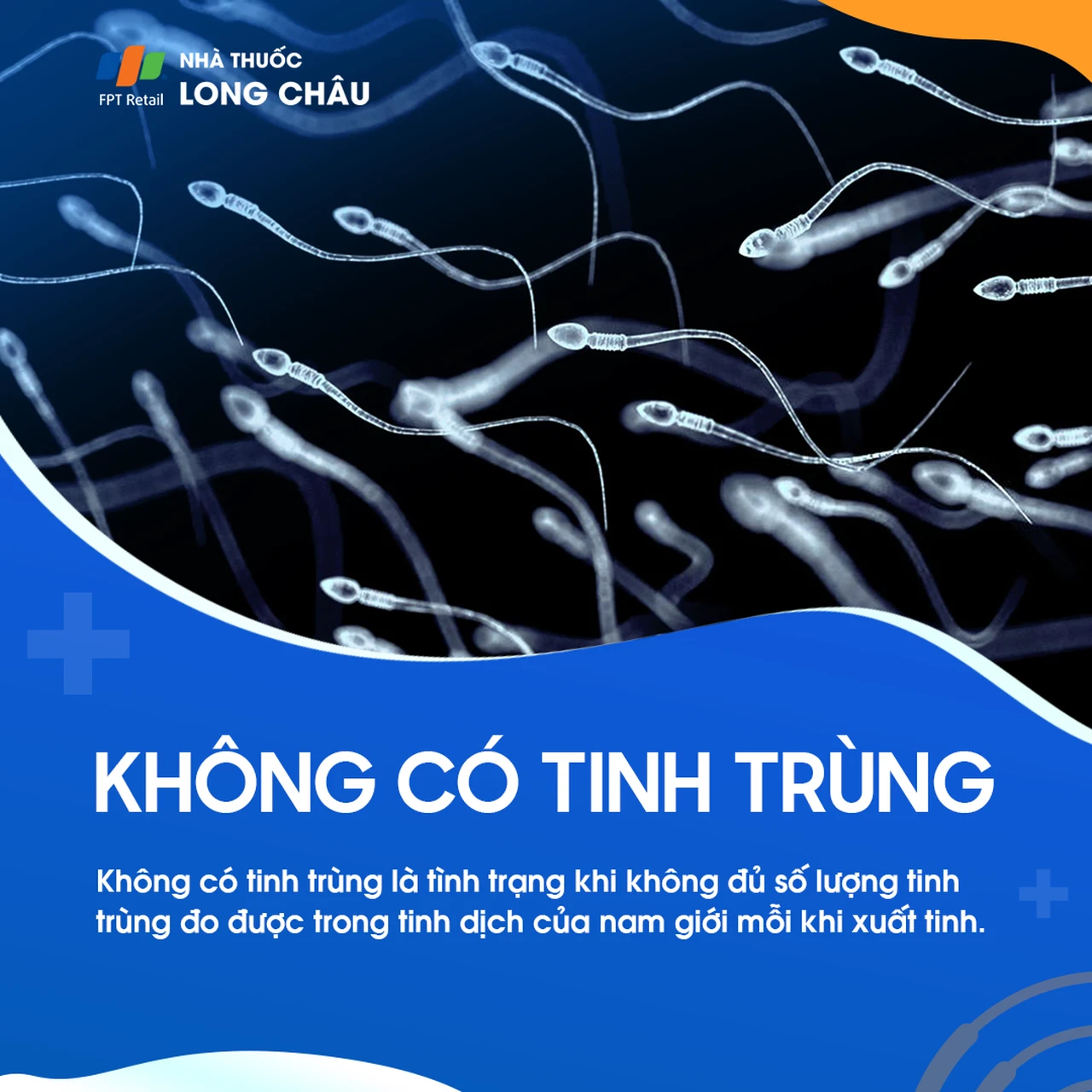 Không có tinh trùng 1