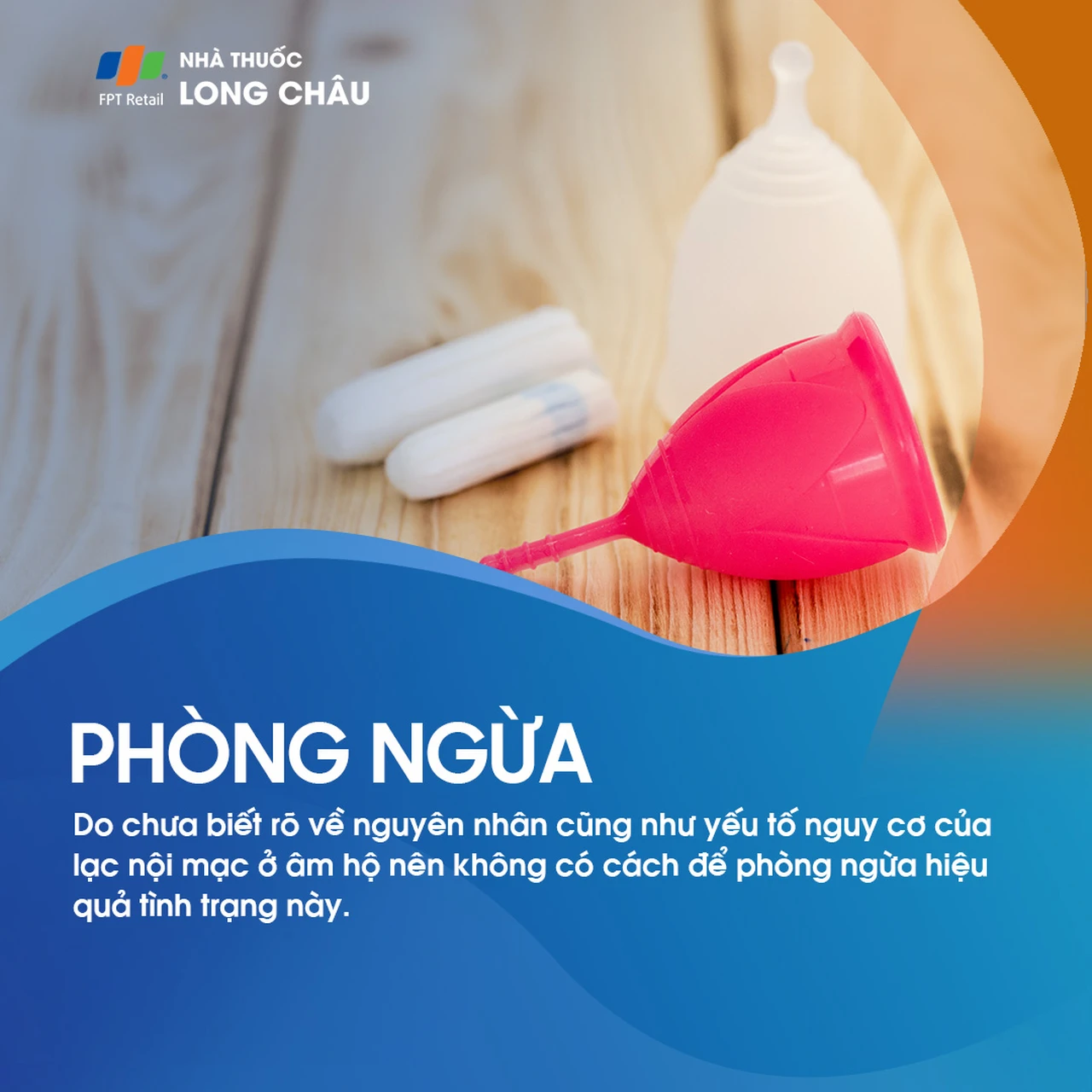 Lạc nội mạc ở âm hộ 7