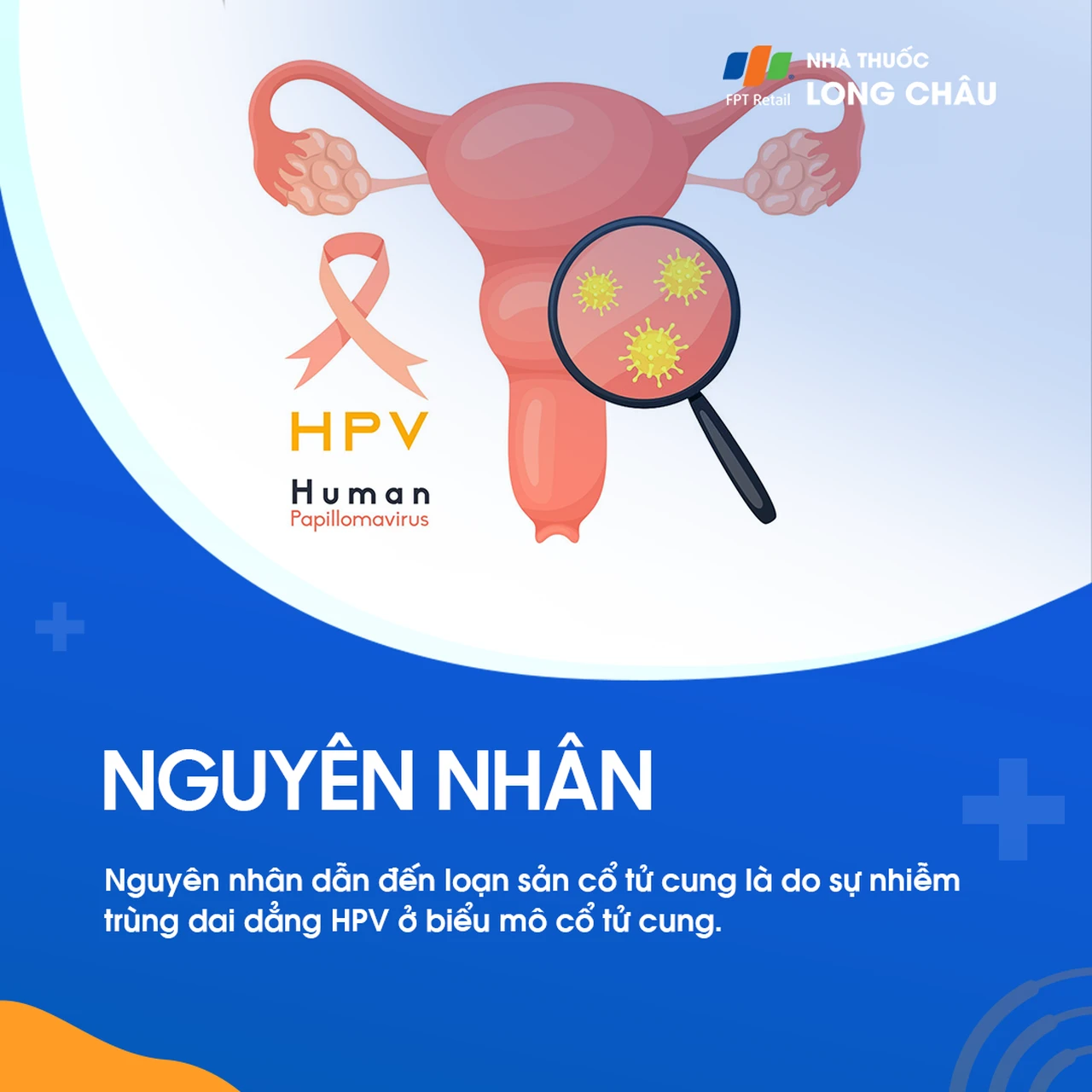 Loạn sản cổ tử cung 3