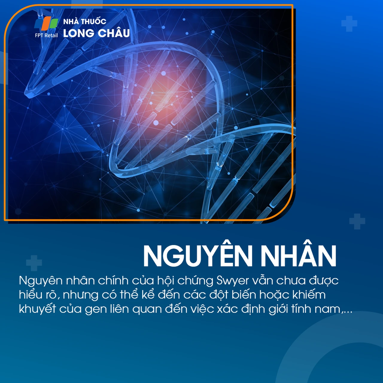 Hội chứng swyer 3