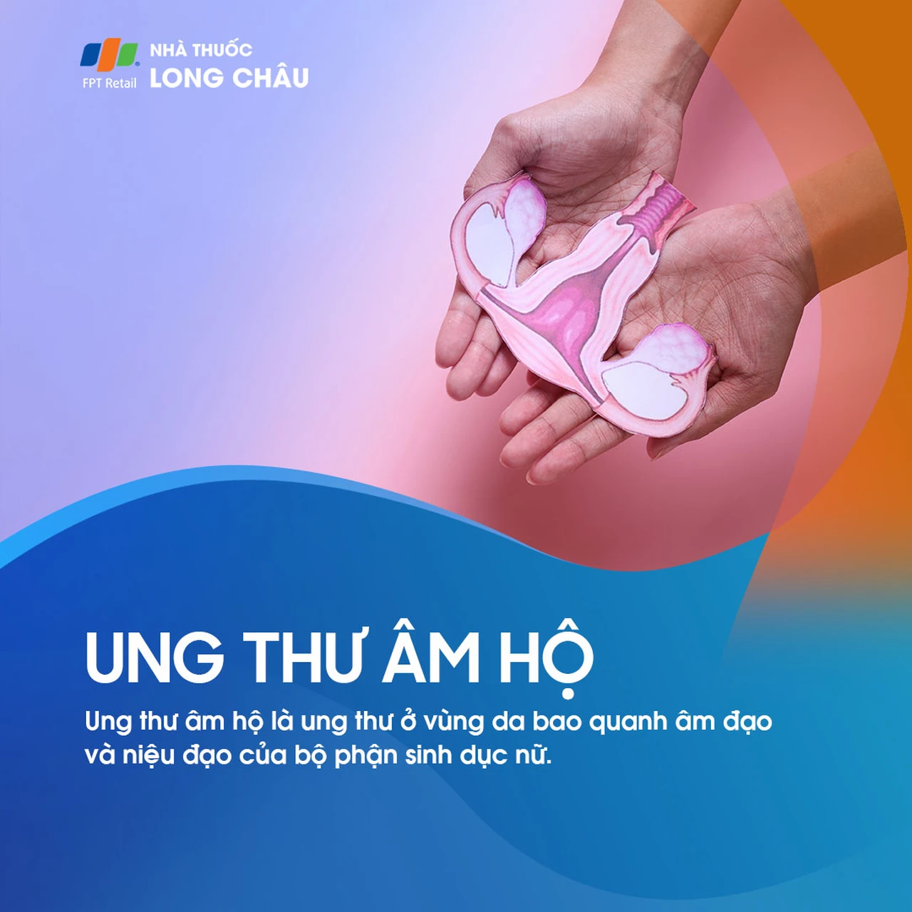 Ung thư âm hộ là sự phát triển bất thường của tế bào ở vùng âm hộ