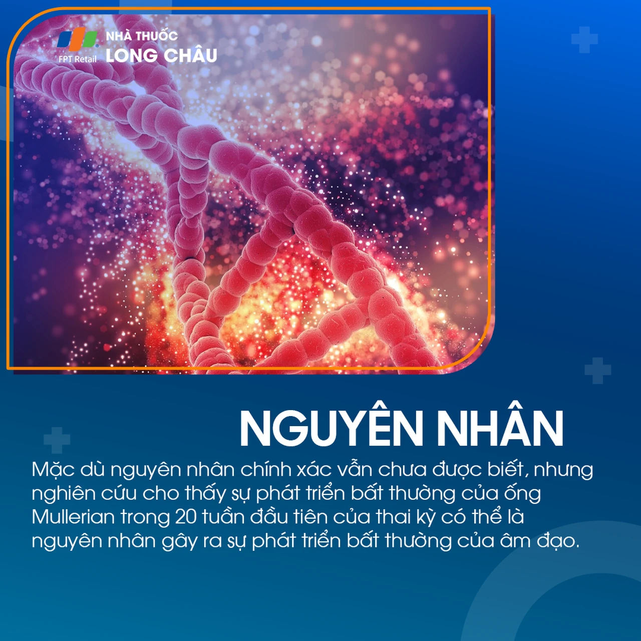 Không có âm đạo 3