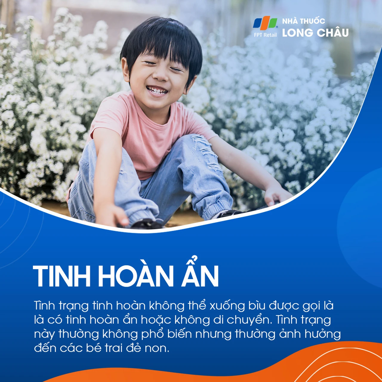 Tinh hoàn ẩn 1