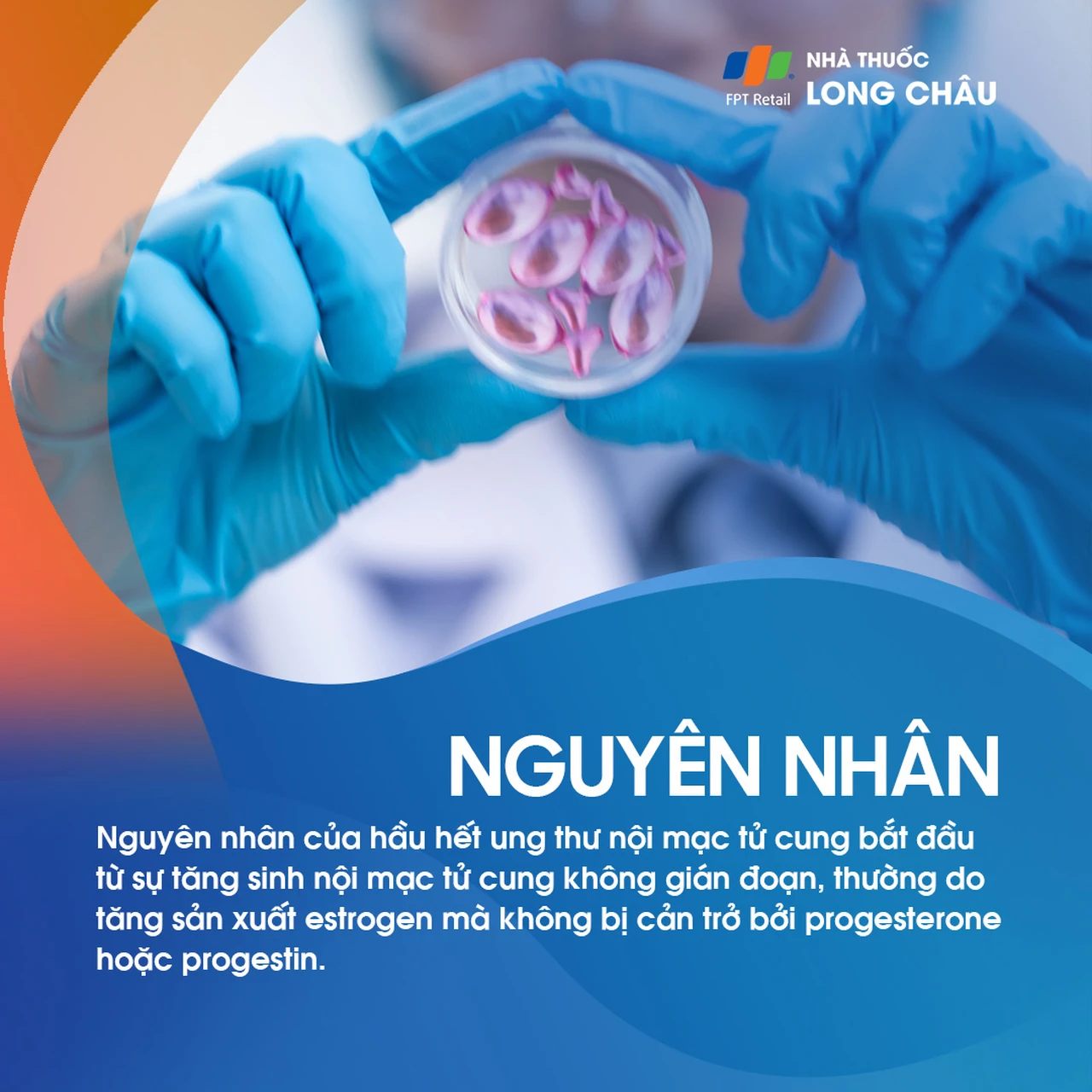 Ung thư nội mạc tử cung 3