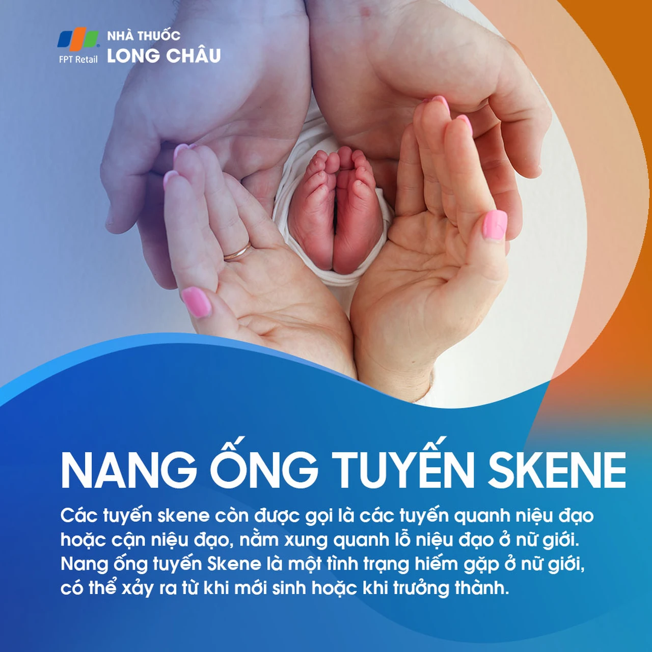 Nang ống tuyến Skene 1