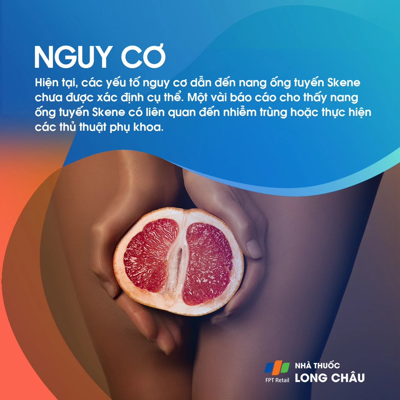 Nang ống tuyến Skene 4