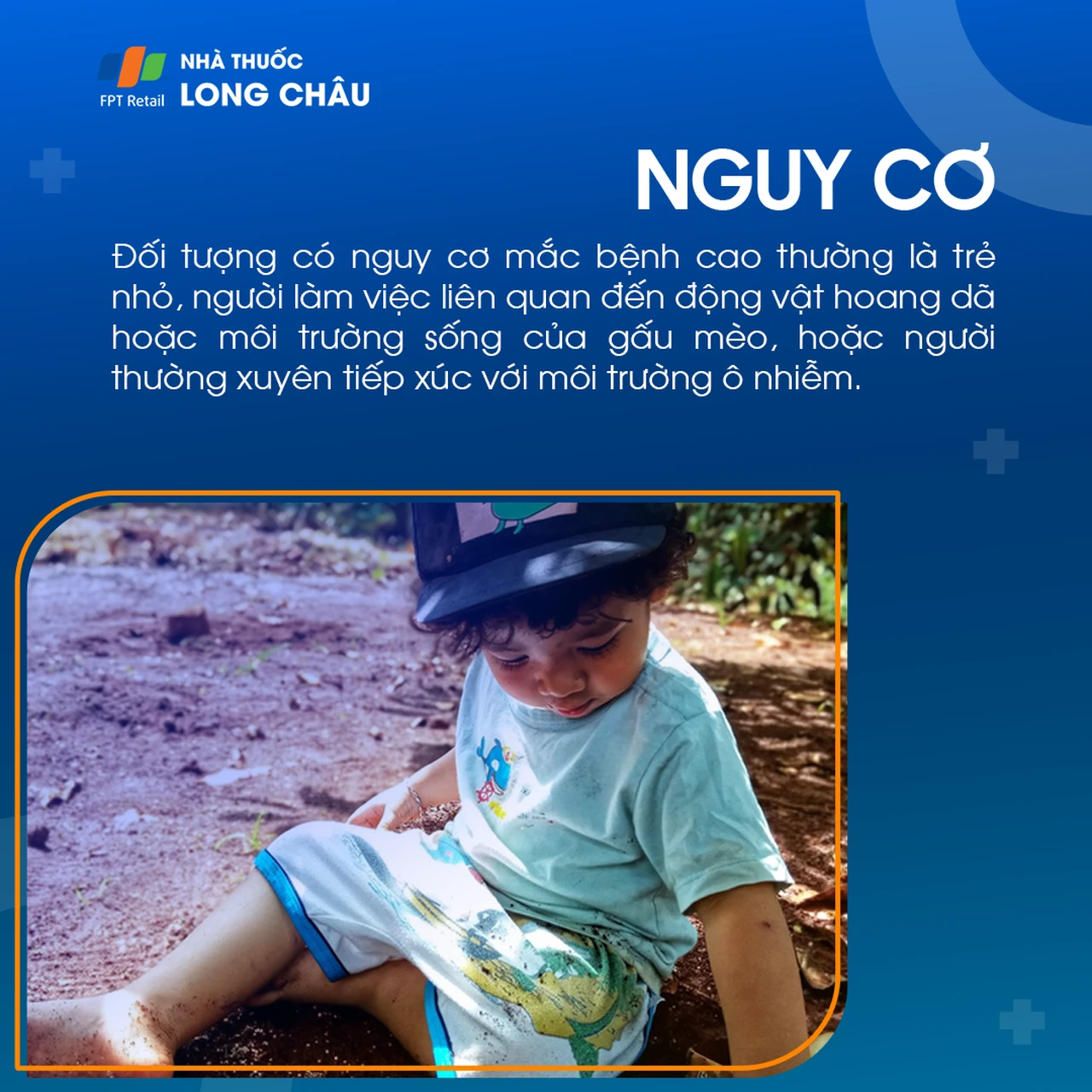 Bệnh Baylisascaris 4