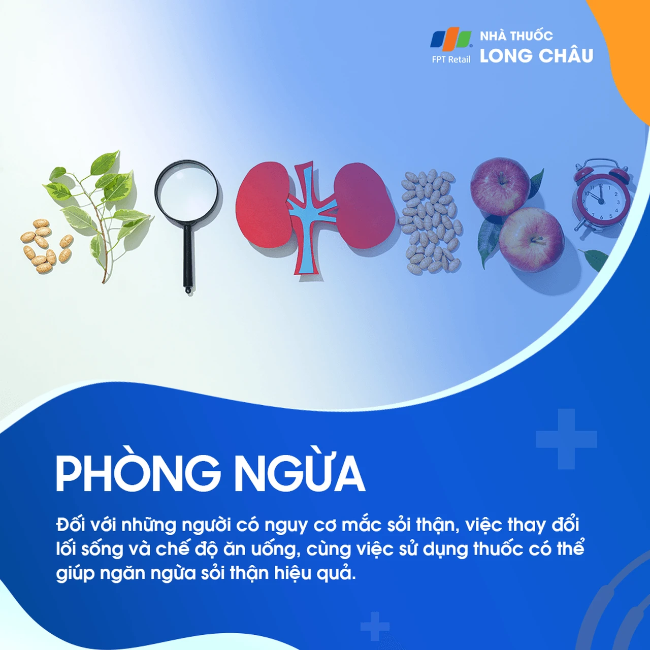 Phòng ngừa sỏi thận - Cách duy trì sức khỏe thận và ngăn ngừa hình thành sỏi thận