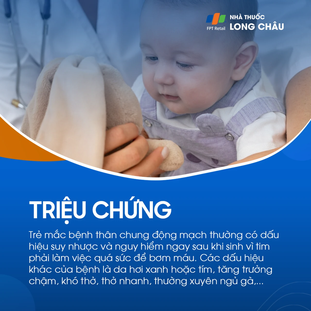 Thân chung động mạch 2