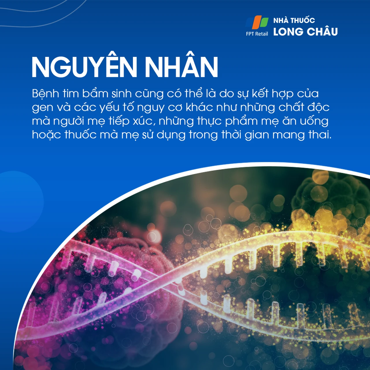 Thân chung động mạch 4