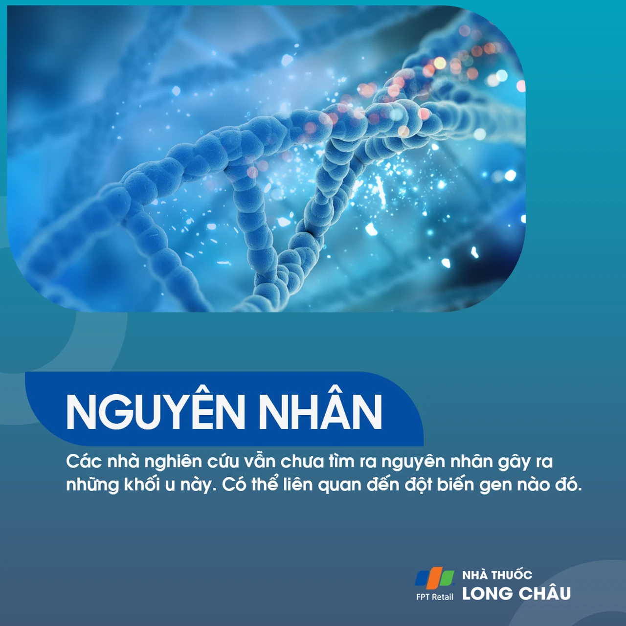 U màng ống nội tủy 3