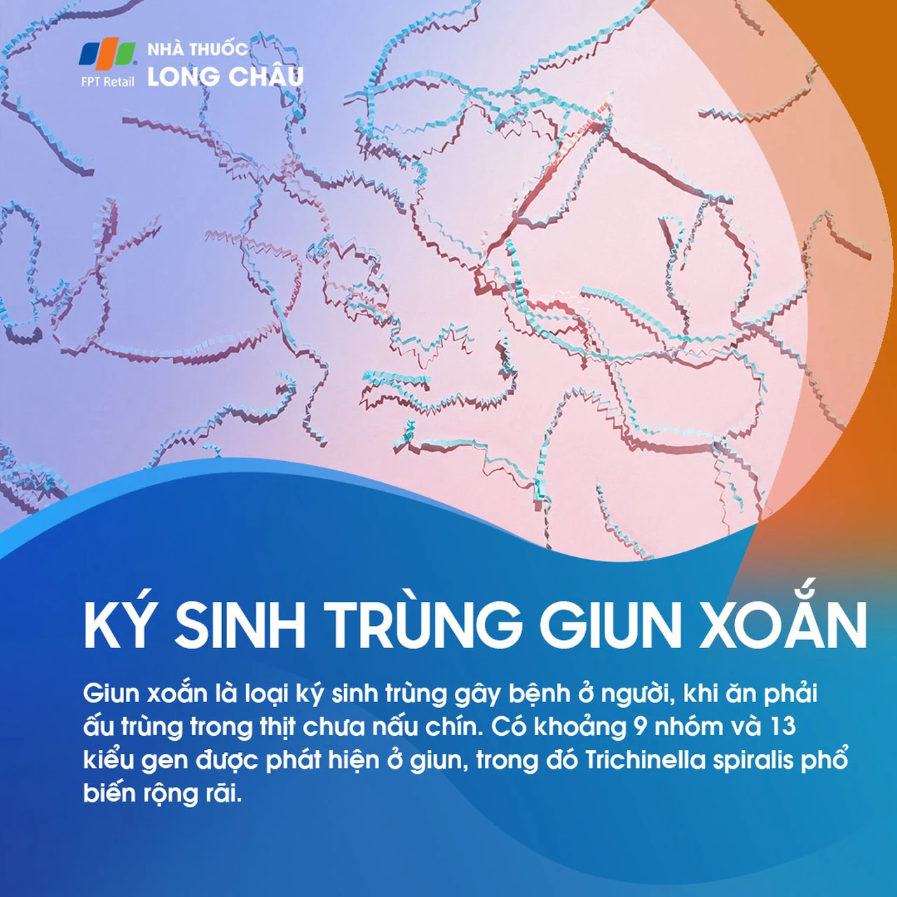 Ký sinh trùng giun xoắn 1