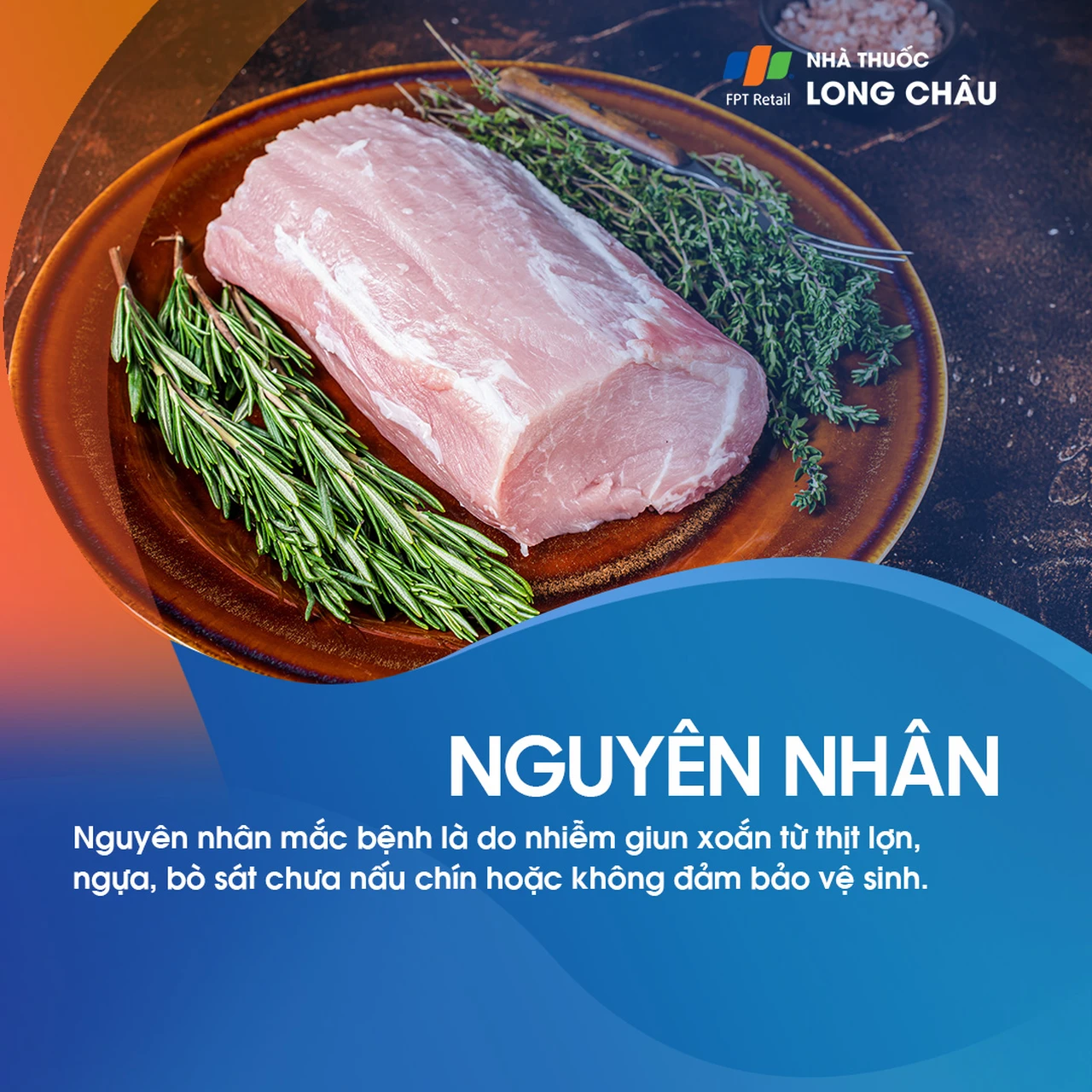 Ký sinh trùng giun xoắn 4