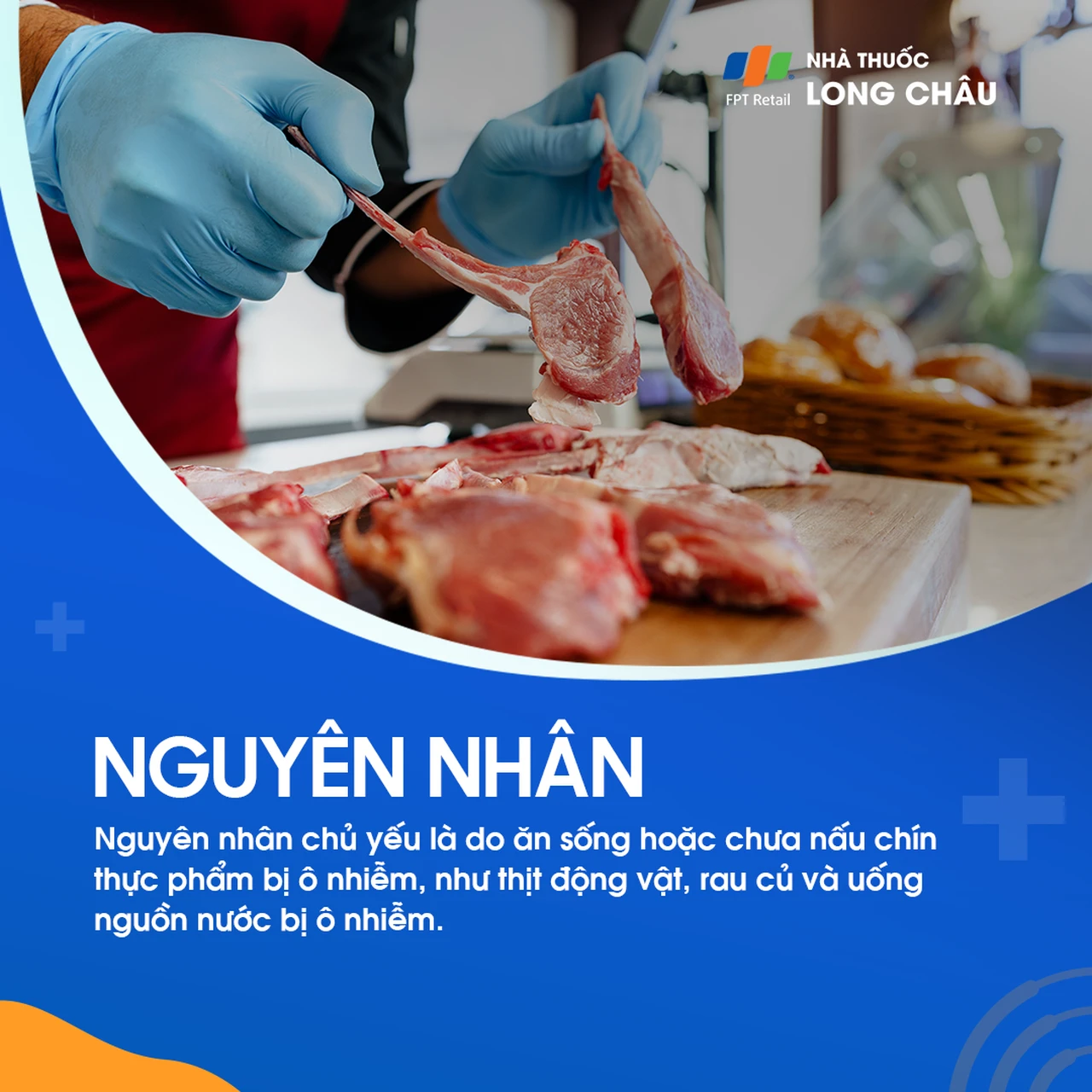 Nhiễm giun tròn 4