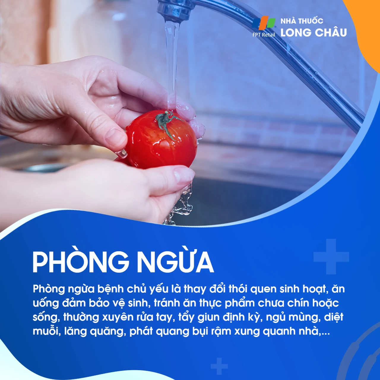 Nhiễm giun tròn 8