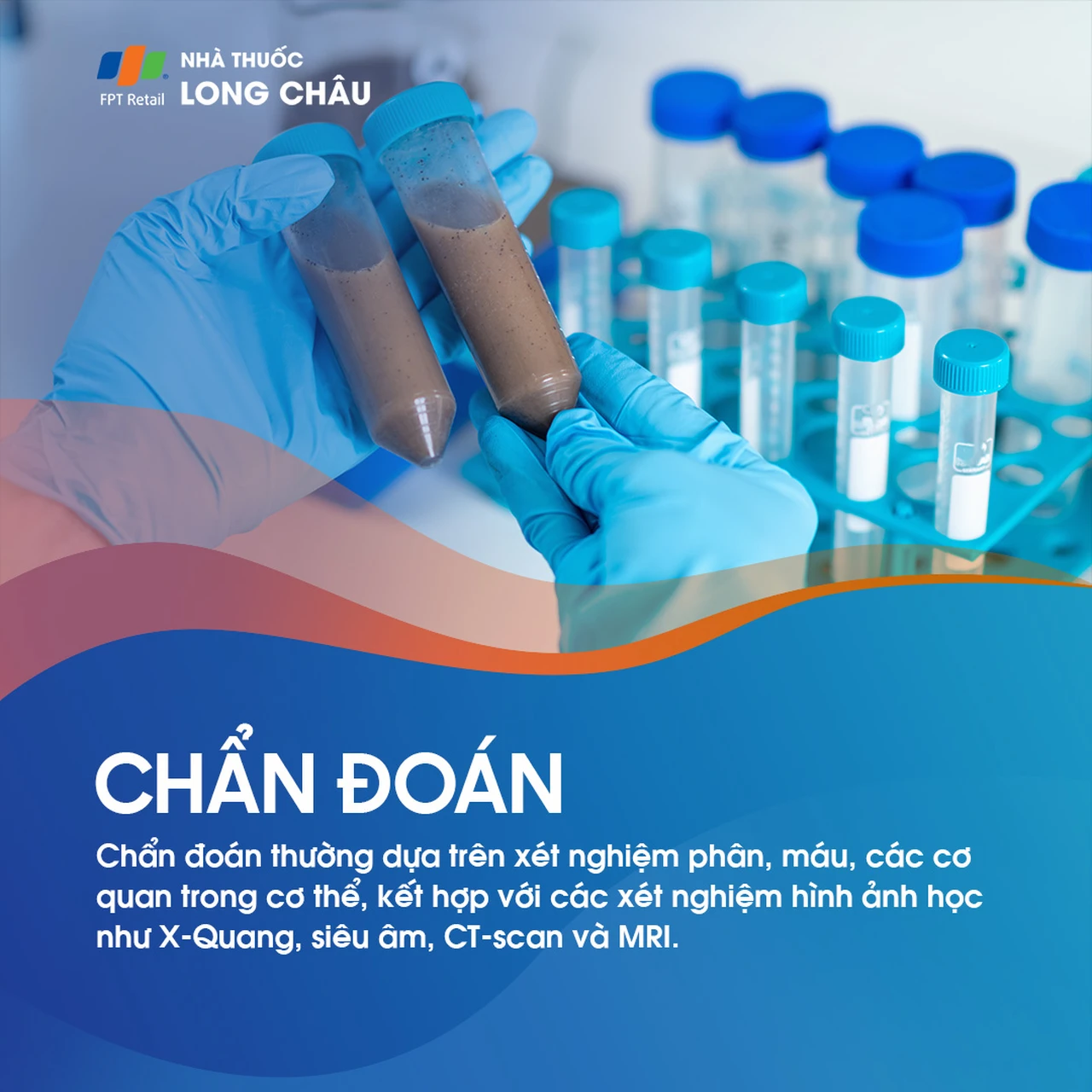 Sán dây lợn 6