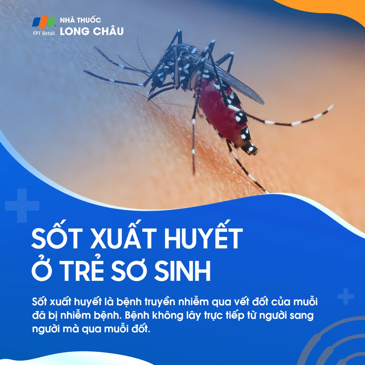 Sốt xuất huyết 2