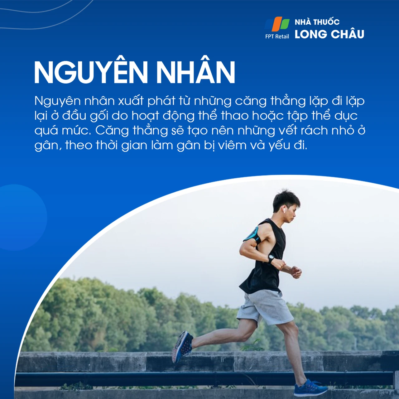 Viêm gân bánh chè 3