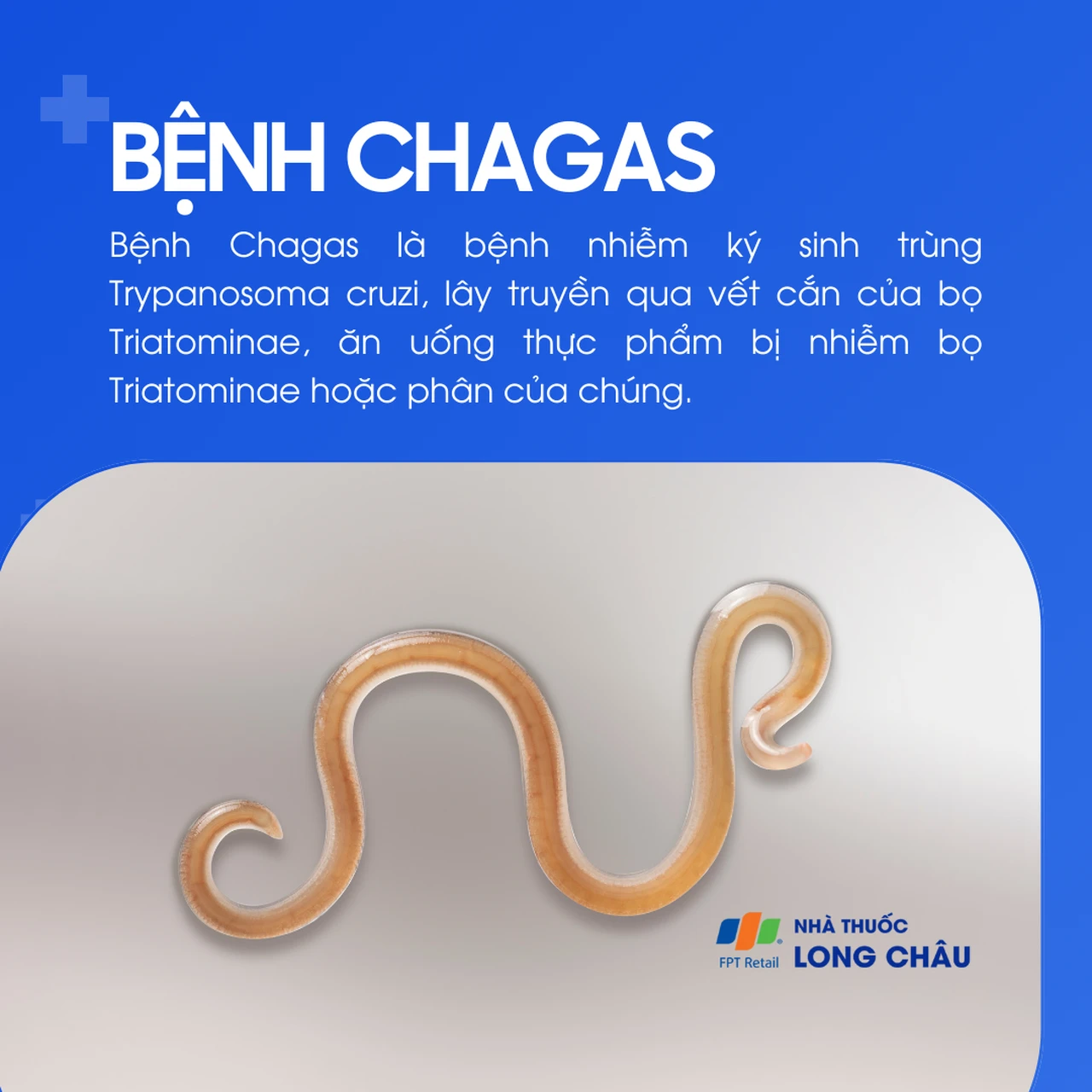 Bệnh chagas 1