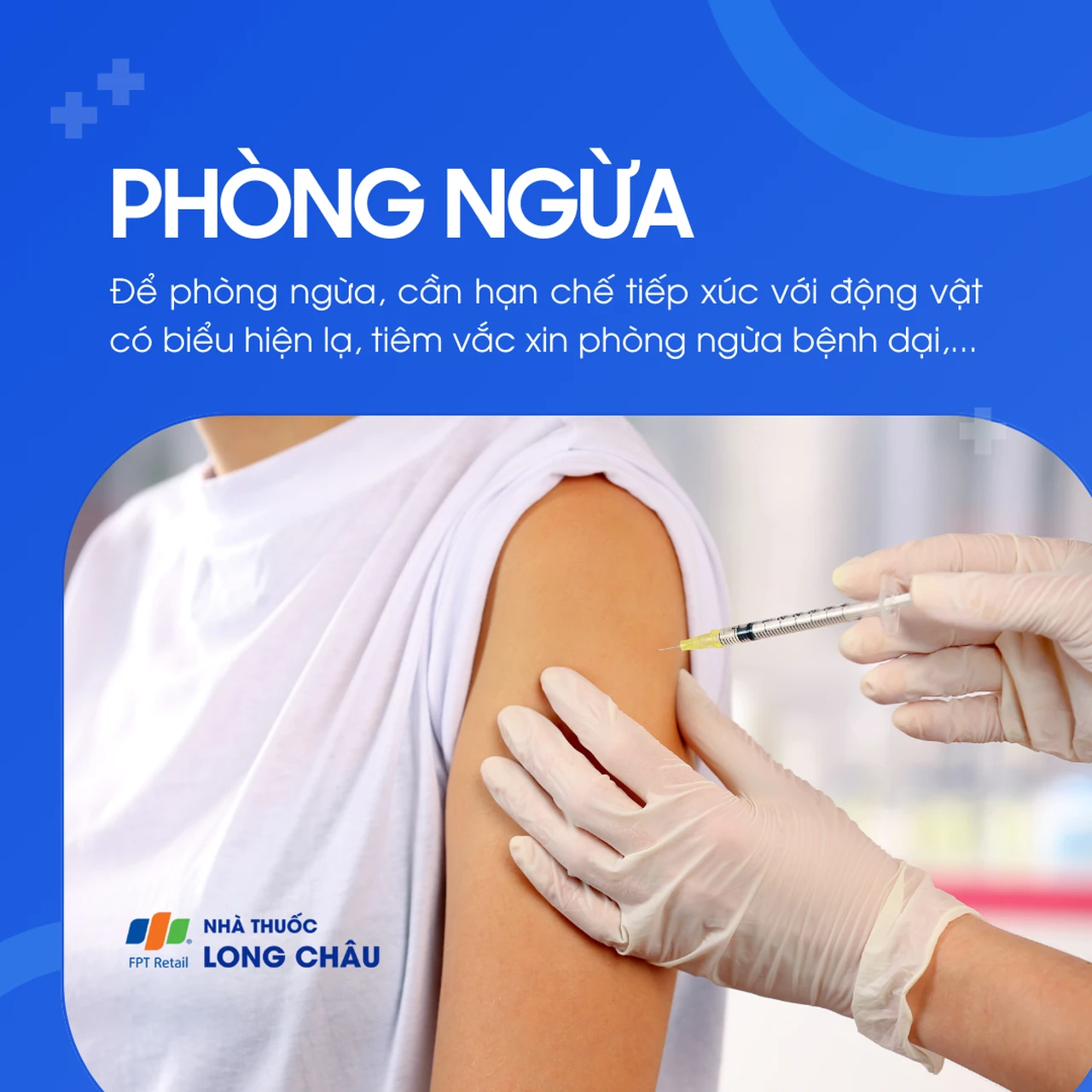 Phòng ngừa bệnh dại bằng tiêm vắc xin và hạn chế tiếp xúc động vật nghi nhiễm