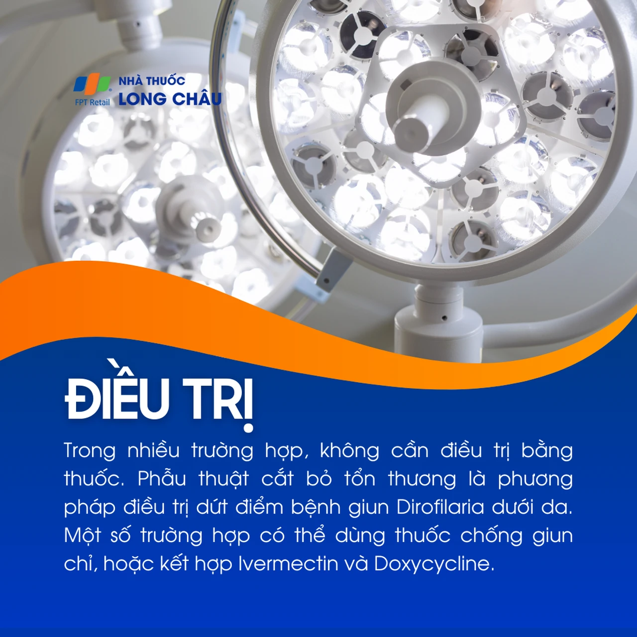 Bệnh Dirofilariasis 6