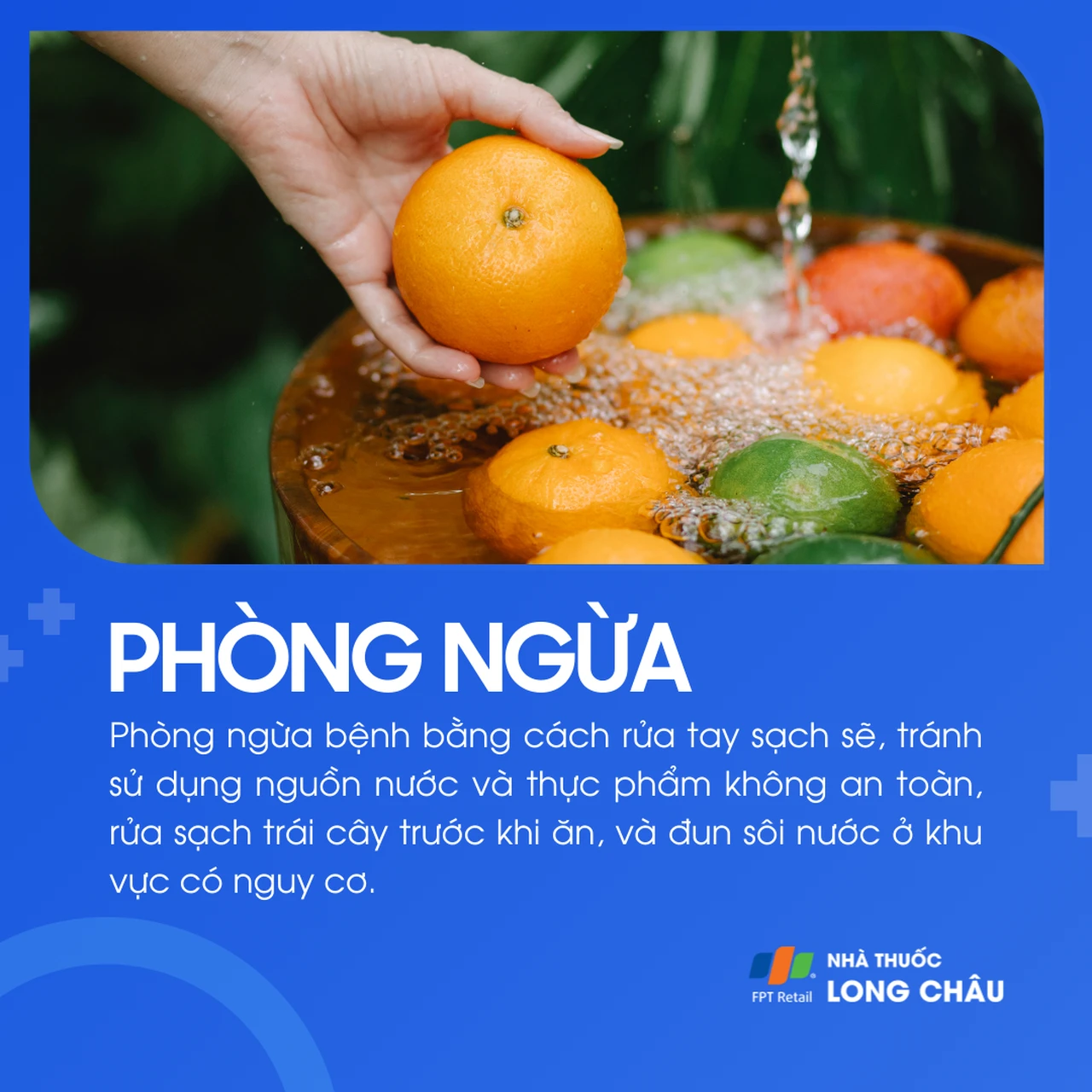 Bệnh do Cryptosporidium 7