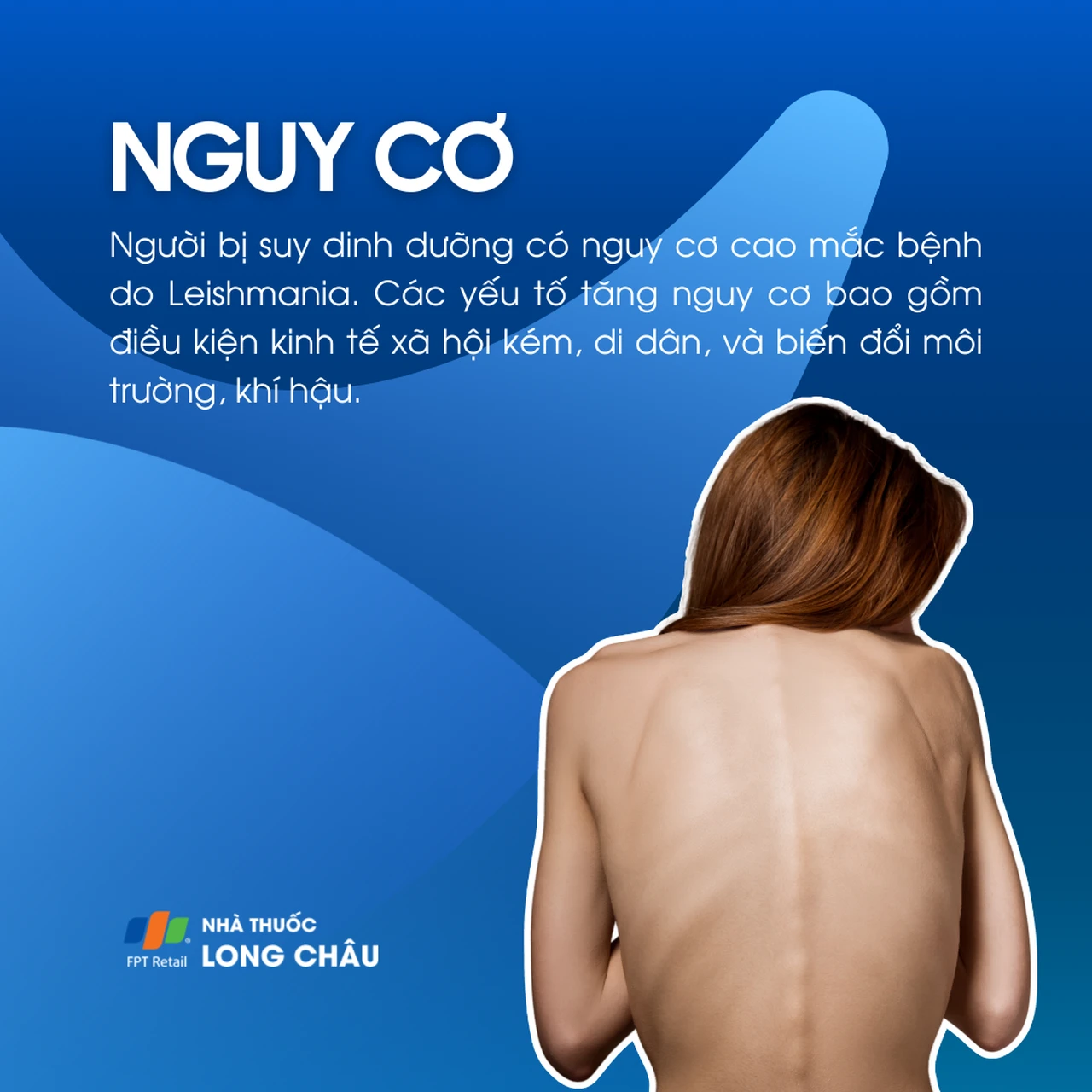 Bệnh do nhiễm Leishmania 4