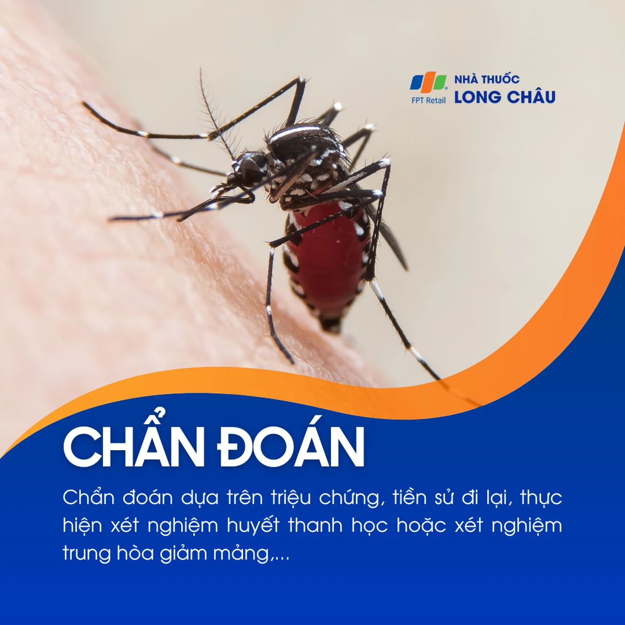 Bệnh do virus Zika  5
