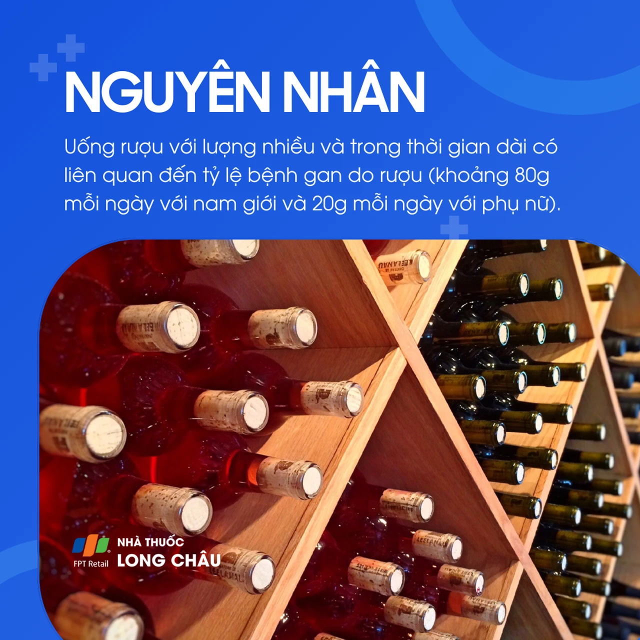 Bệnh gan do rượu 3