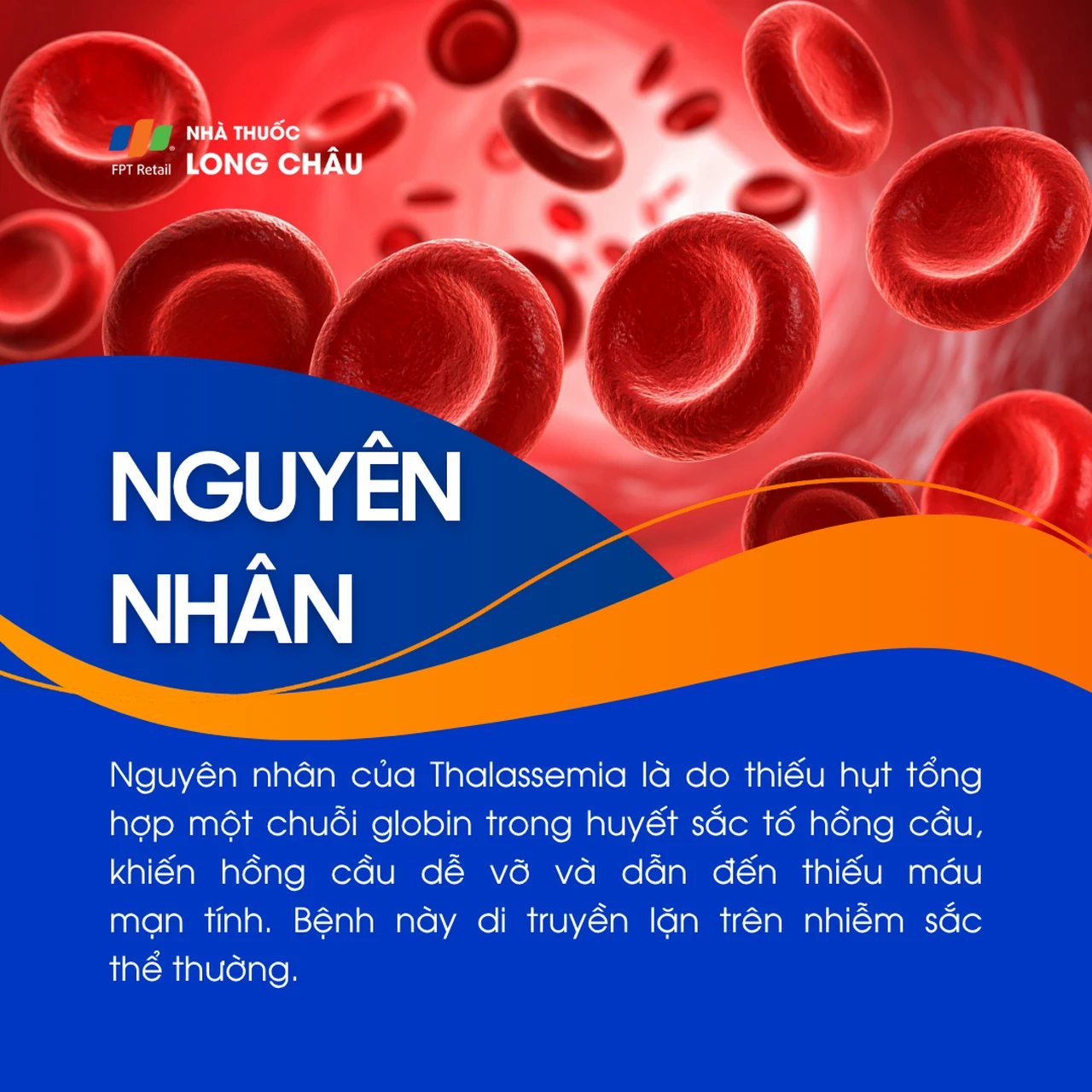 Bệnh Thalassemia 3