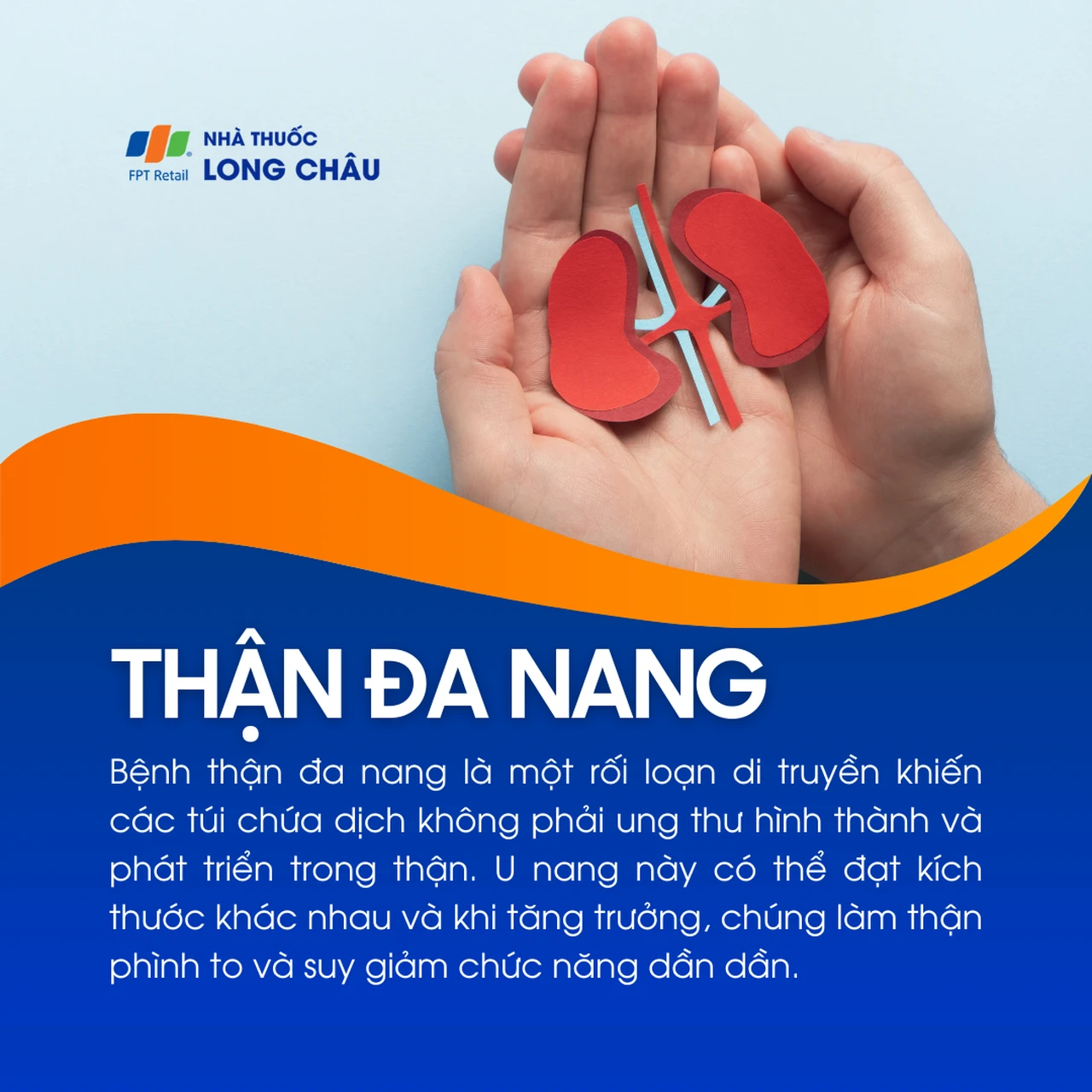 Thận đa nang 1