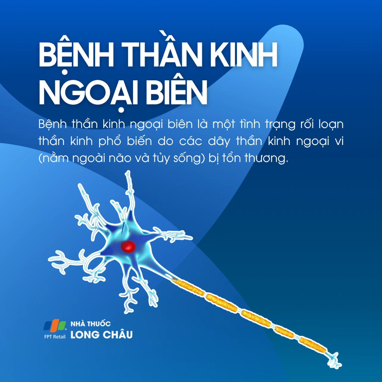 Bệnh thần kinh ngoại biên 1
