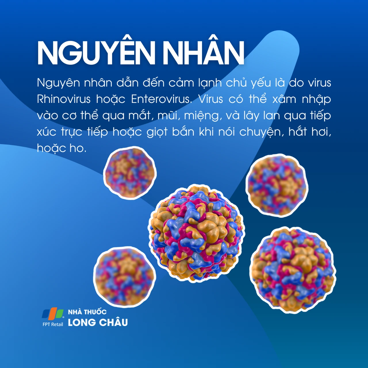 Nguyên nhân cảm lạnh chủ yếu là do virus Rhinovirus và Enterovirus – lây qua đường hô hấp, giọt bắn hoặc tiếp xúc trực tiếp