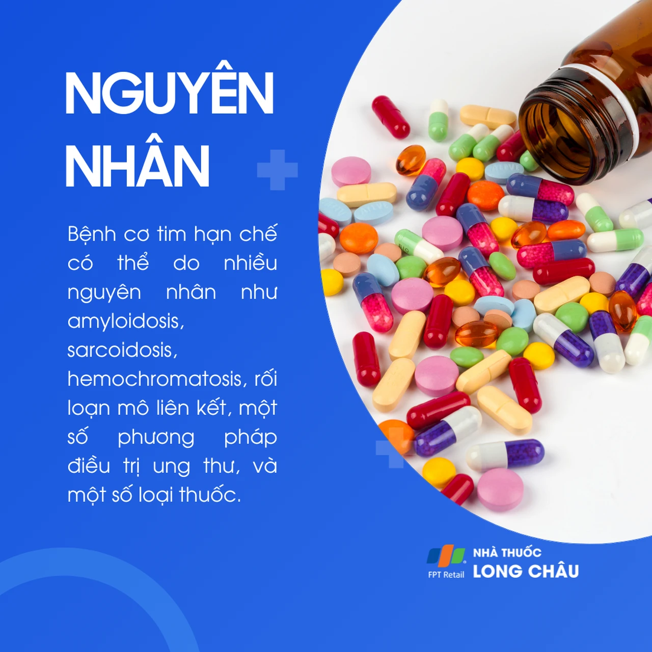 Cơ tim hạn chế 3