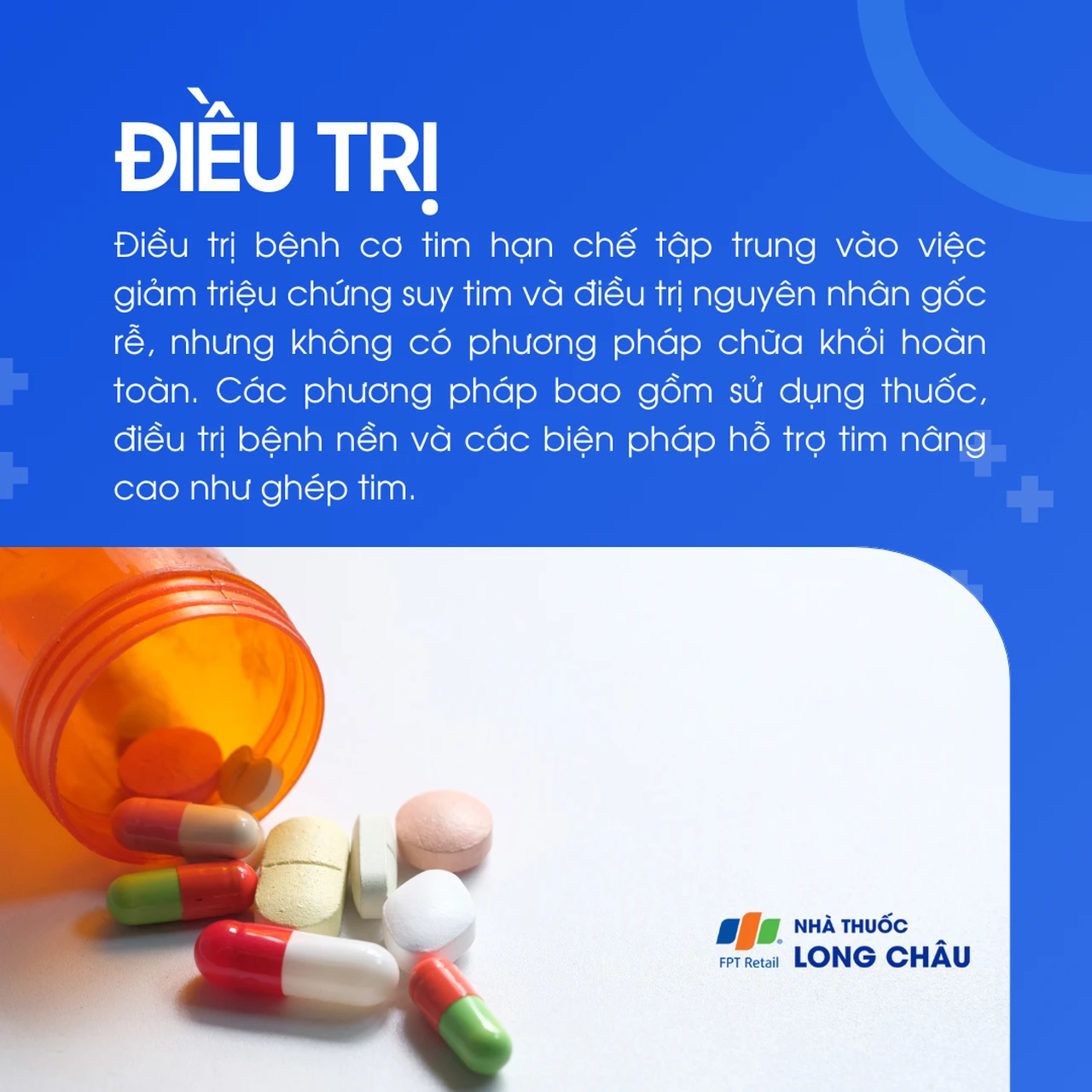 Cơ tim hạn chế 6