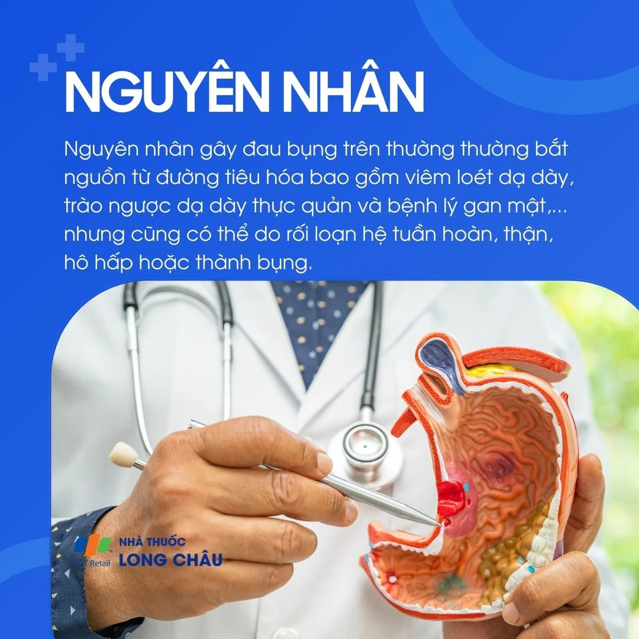 Nguyên nhân đau bụng trên: Do các bệnh đường tiêu hóa như viêm loét dạ dày, trào ngược, gan mật hoặc rối loạn tuần hoàn – hô hấp.