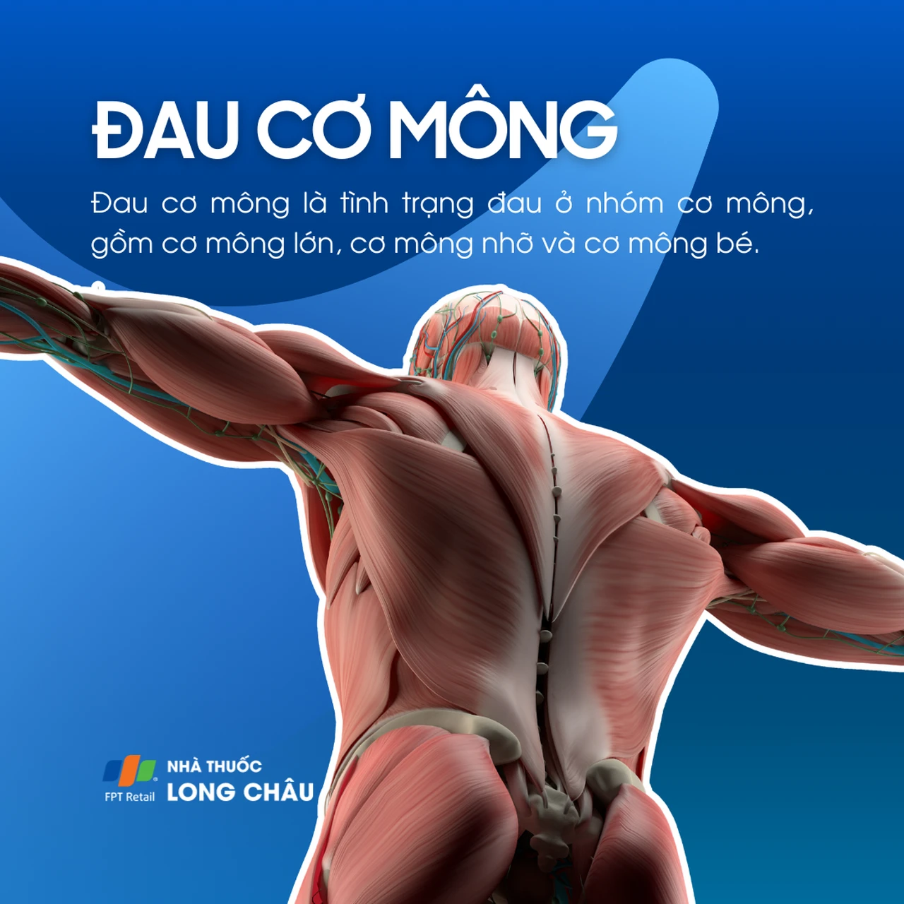 Đau cơ mông 1
