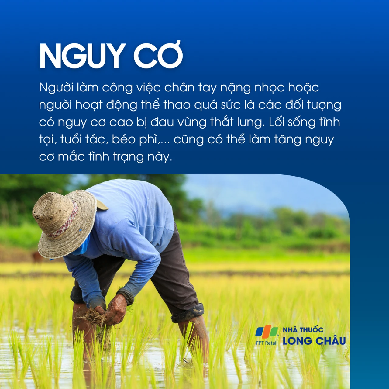 Đau vùng thắt lưng 4