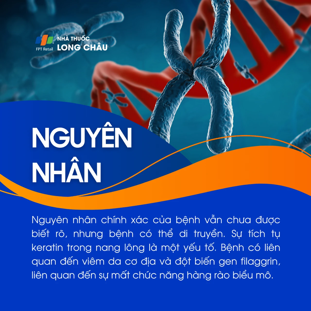 Dày sừng nang lông 3